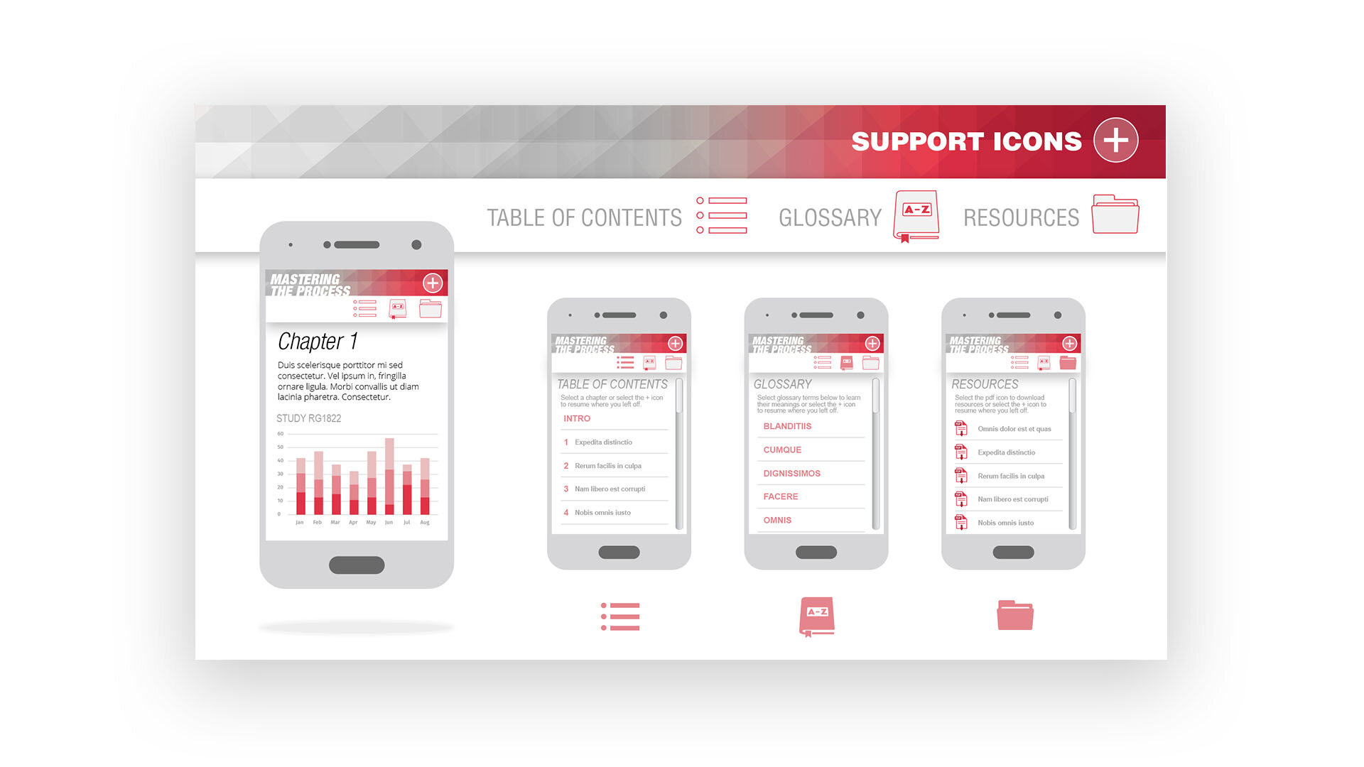Mastering the Process_0003_4_icons.jpg