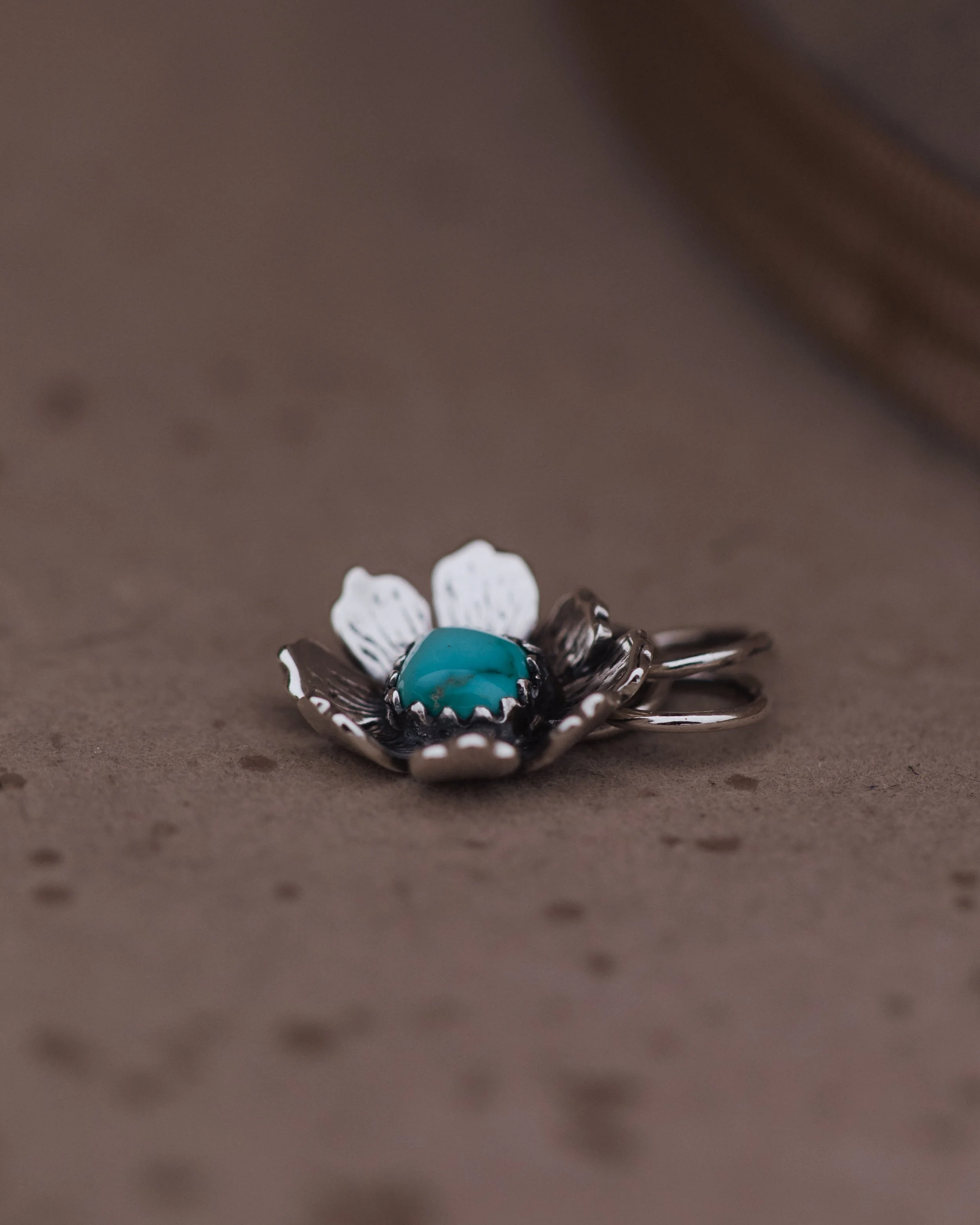 Laynarememberancecosmopendant-73.jpg