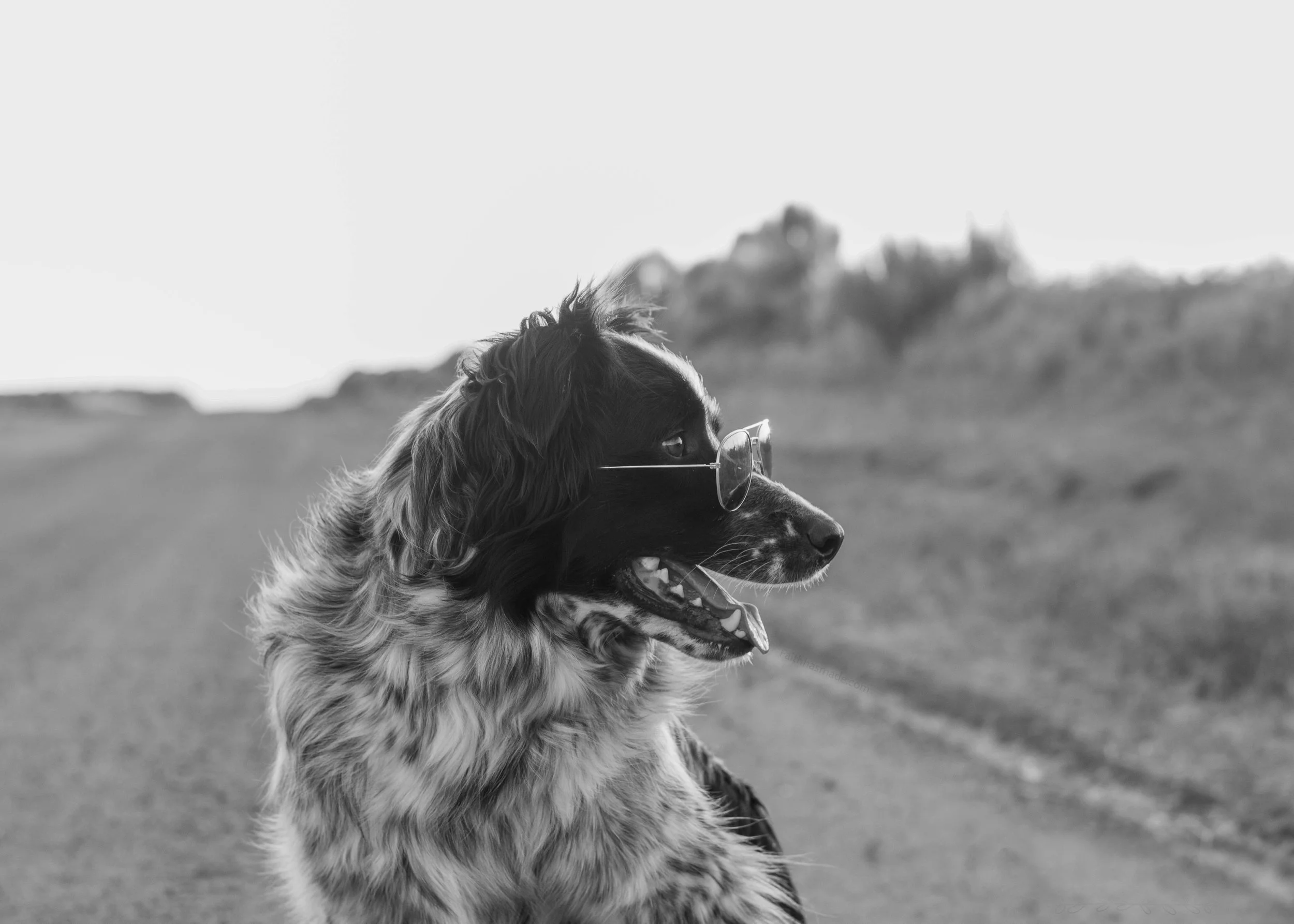 Ike sunglasses bw.jpg