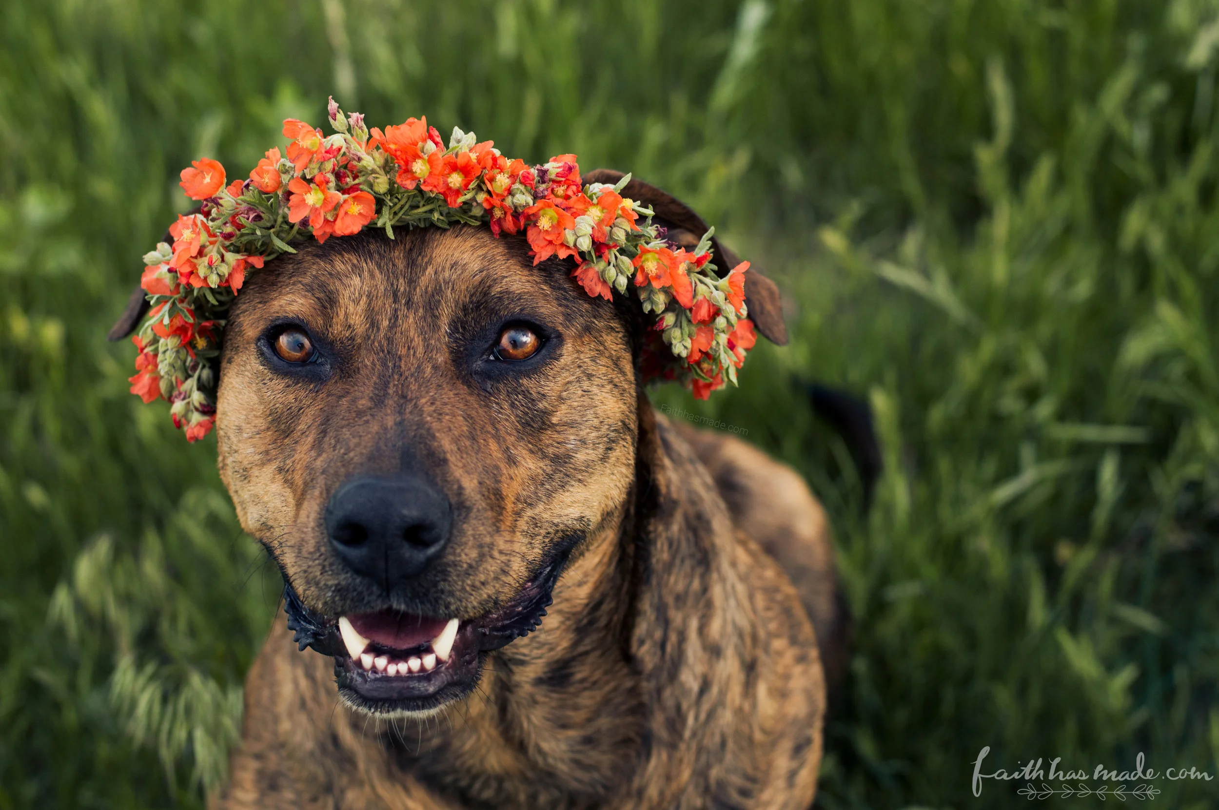 Tiger Flower Crown May 1.jpg