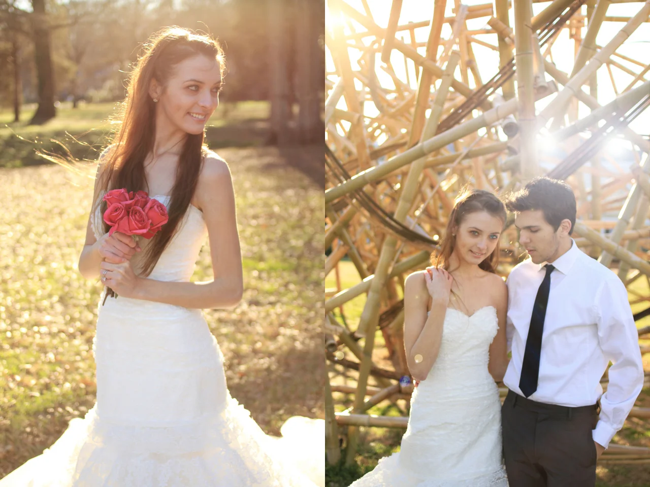 avenocturnaphotographykelibrown85.jpg
