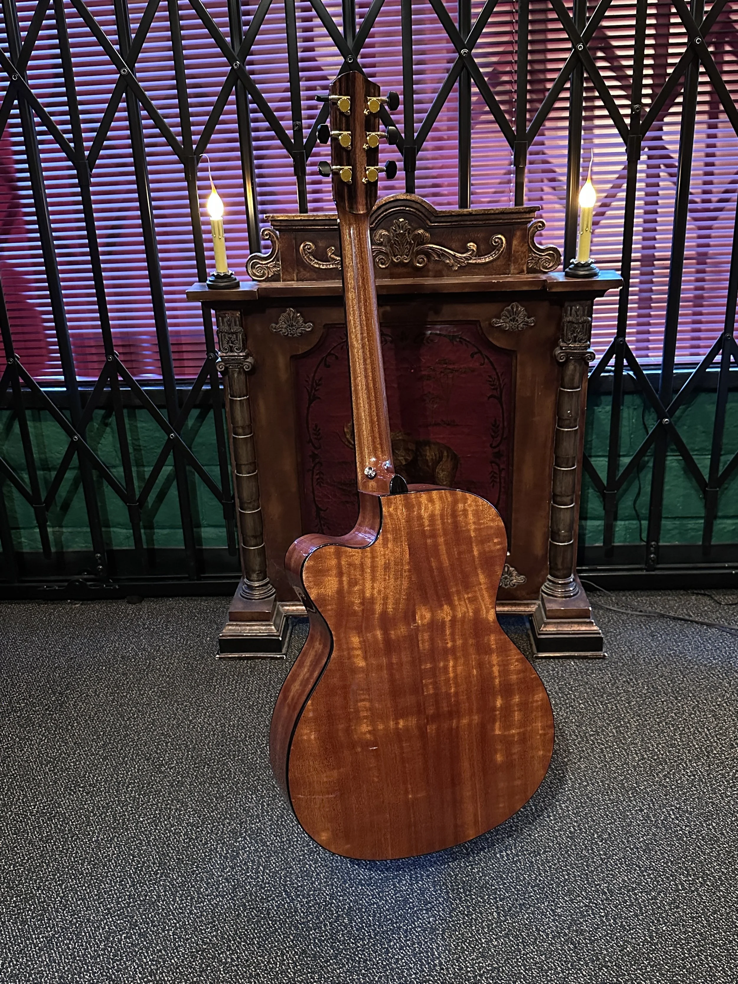 Schenk Ophirio b.JPG