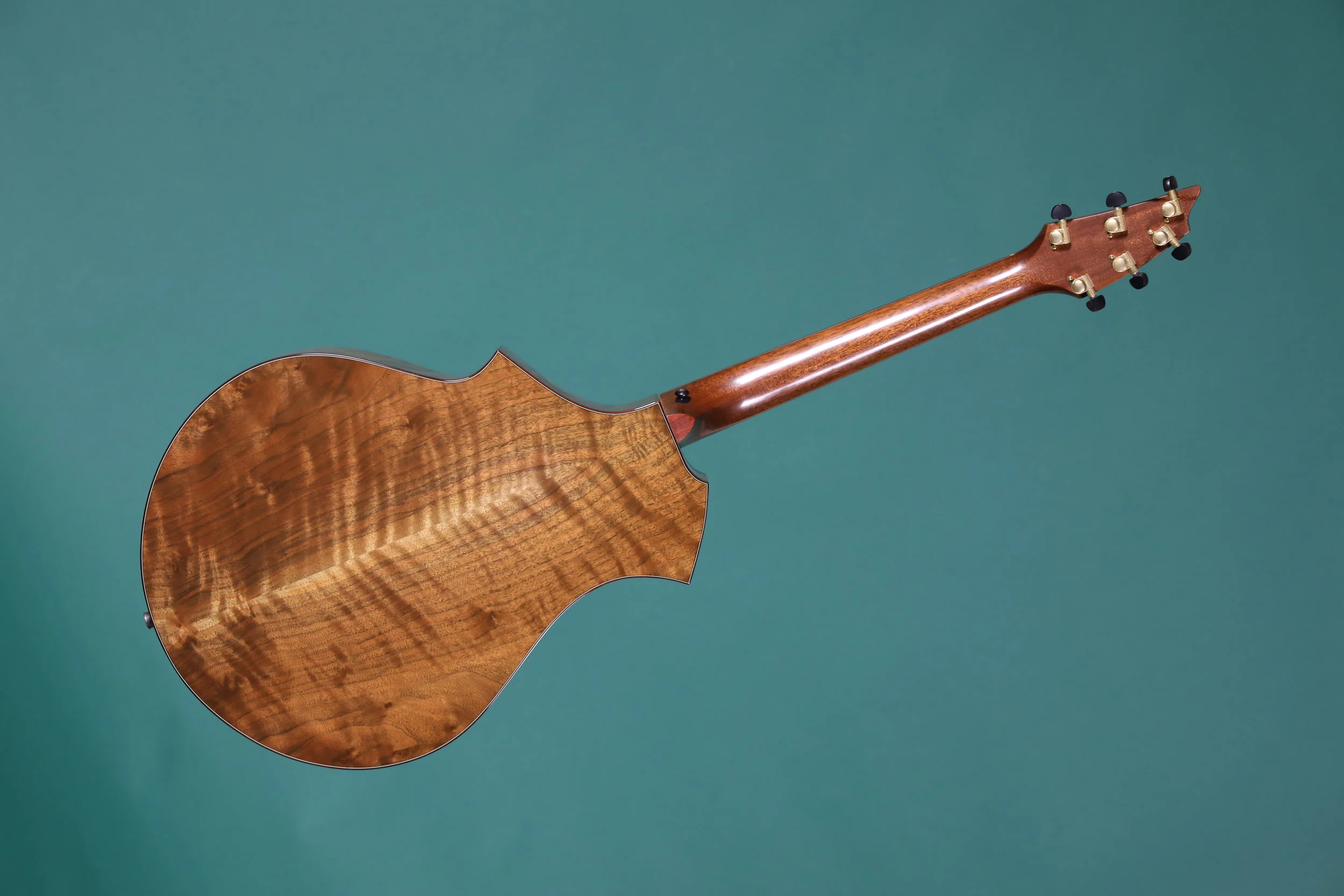 Breedlove CMW back.jpg