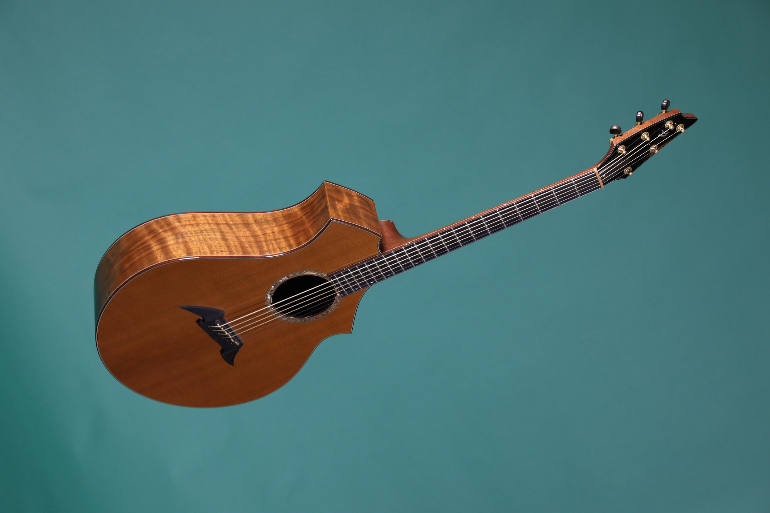 Breedlove CMW shoulder.jpg