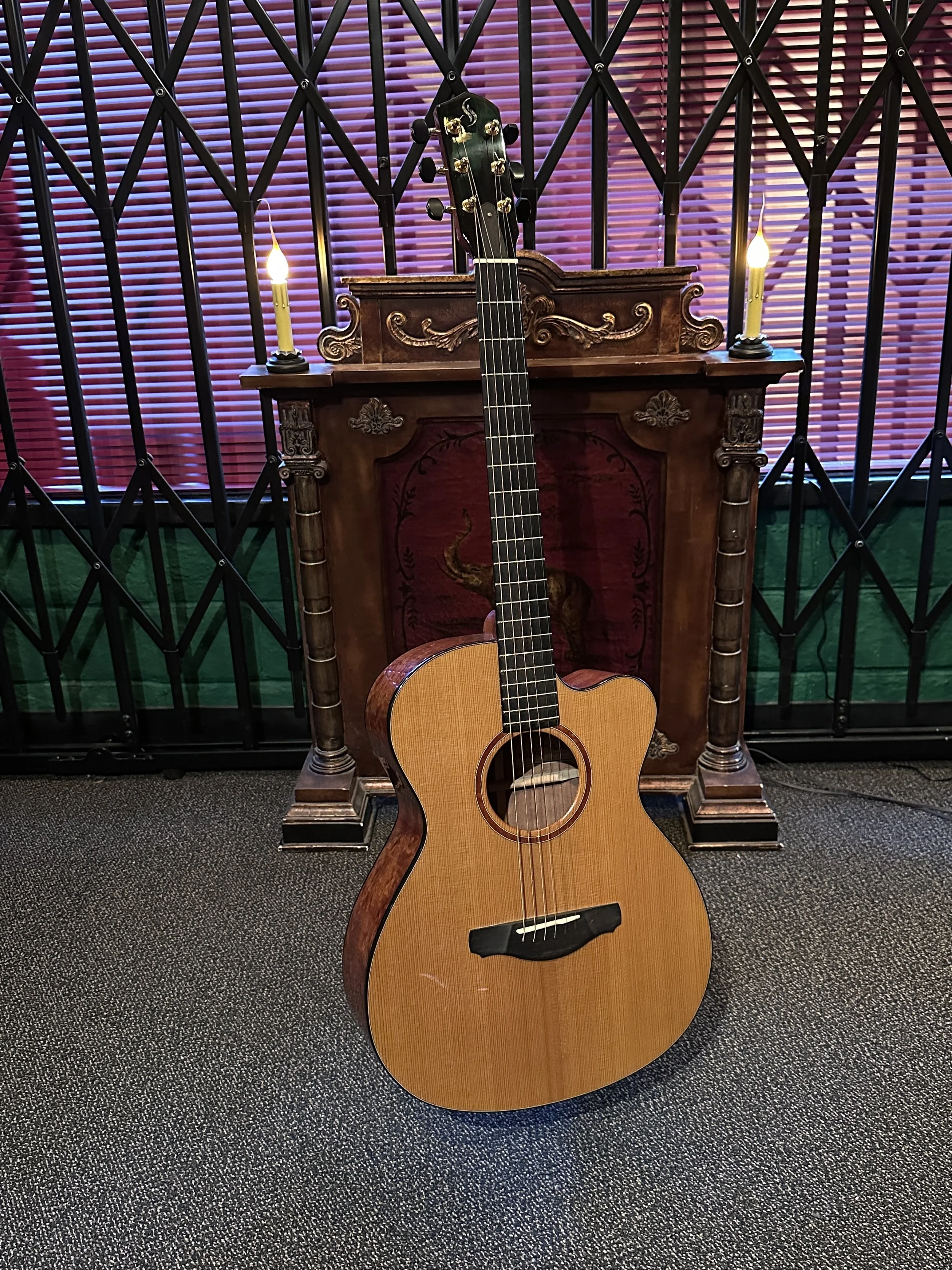 Schenk Ophirio a.JPG