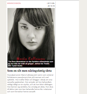 Bokrecension: Som en söt men näringsfattig tårta (ETC) 170608