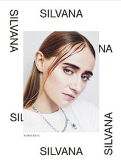 Förord till Silvana-boken (hela texten) – Norstedts 2018