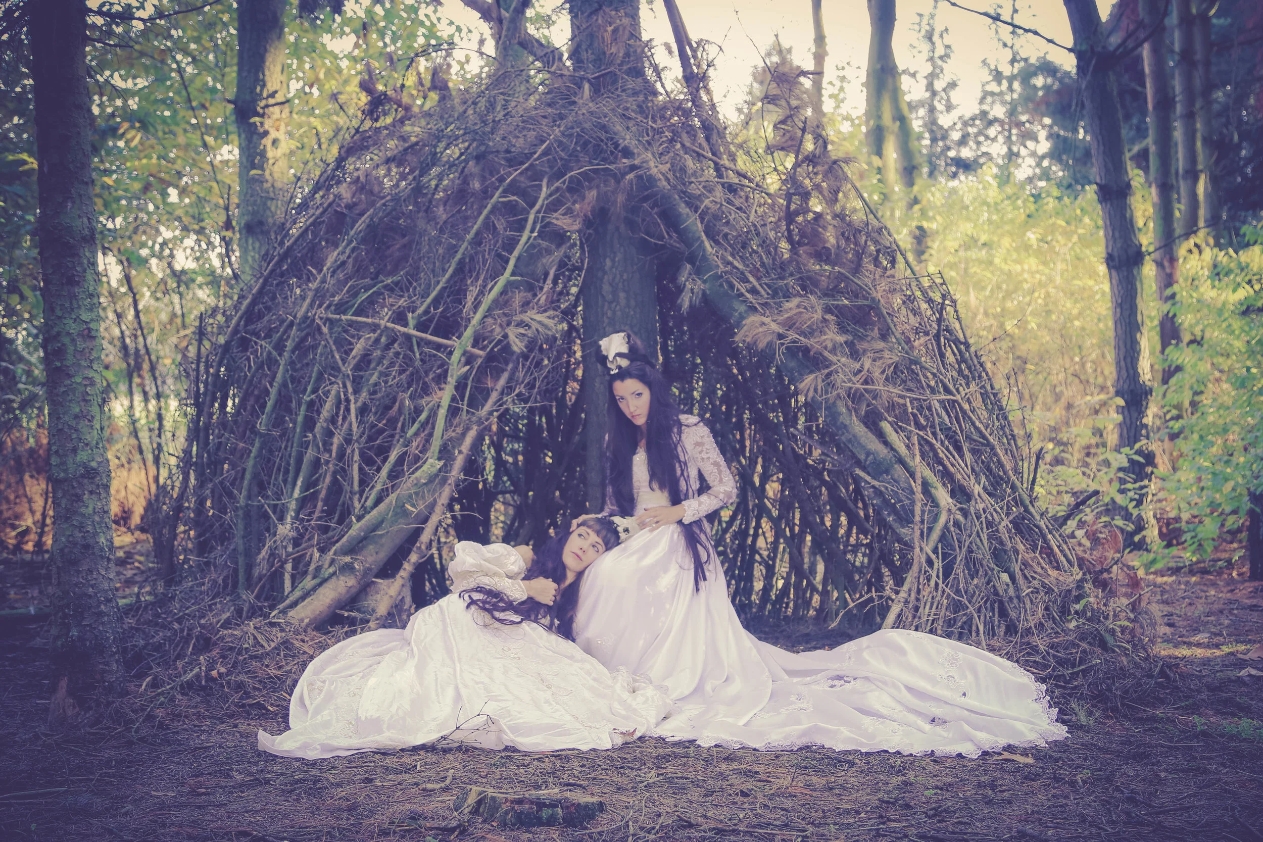 Forestshoot