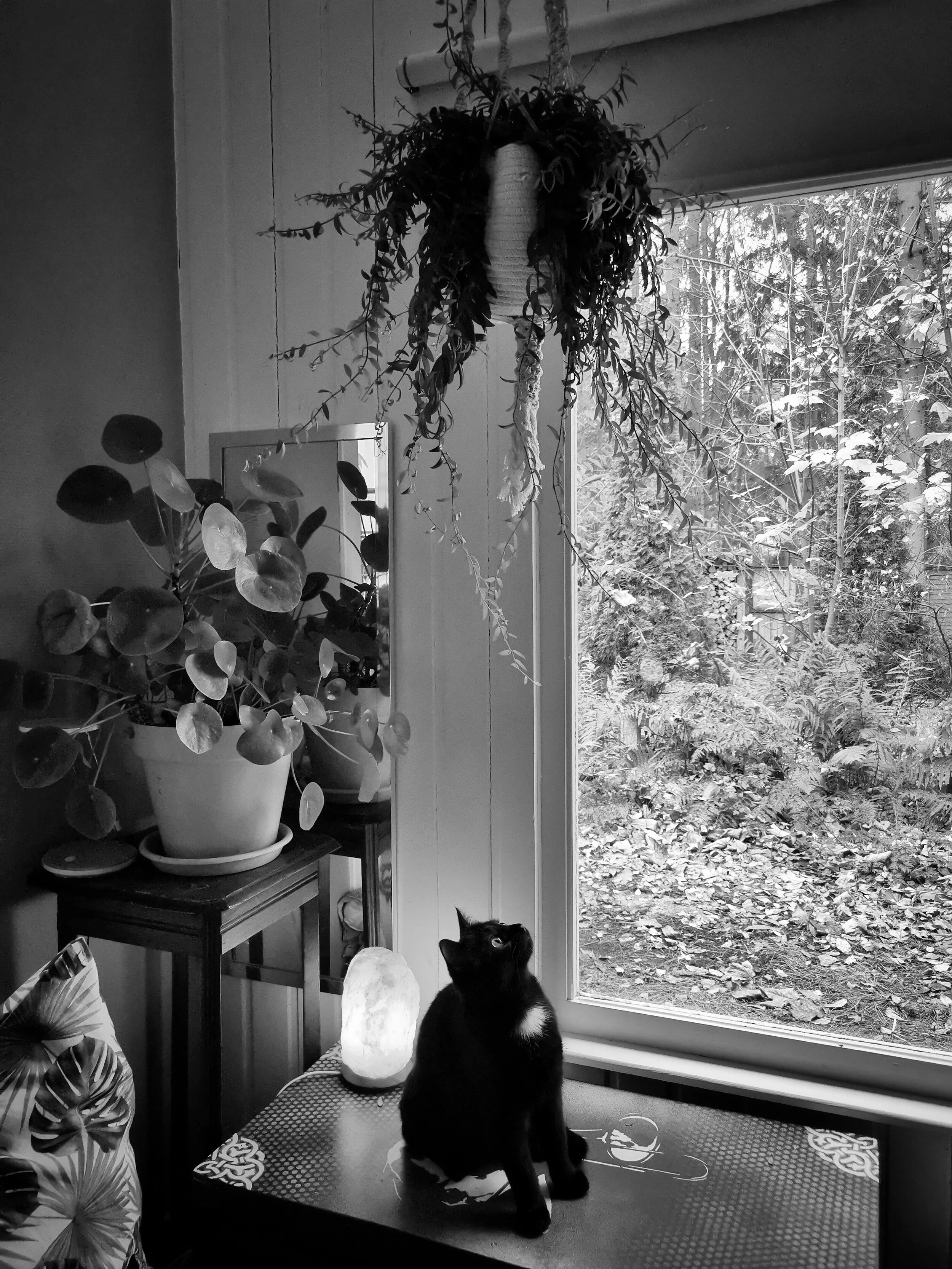 Het aanvaarden van mijn menselijkheid