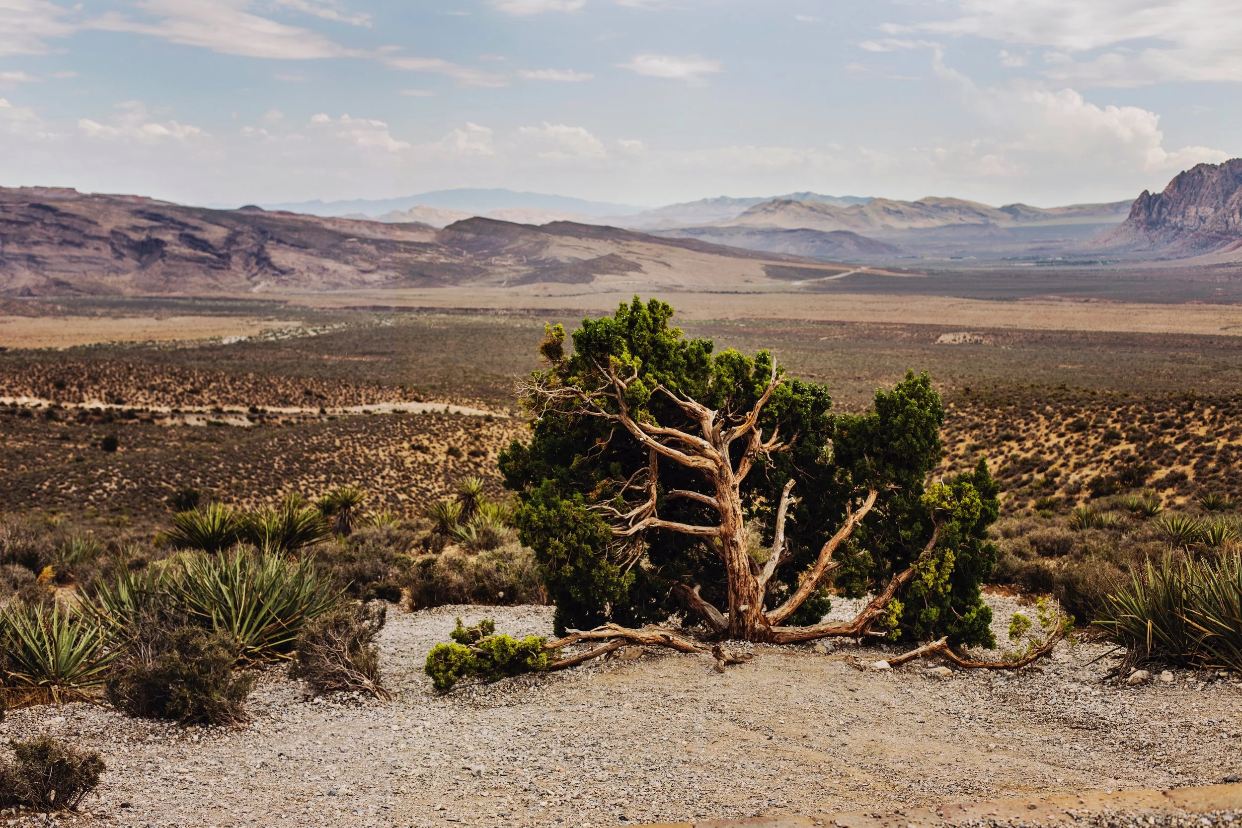 Photo by Olenka Kotyk on Unsplash