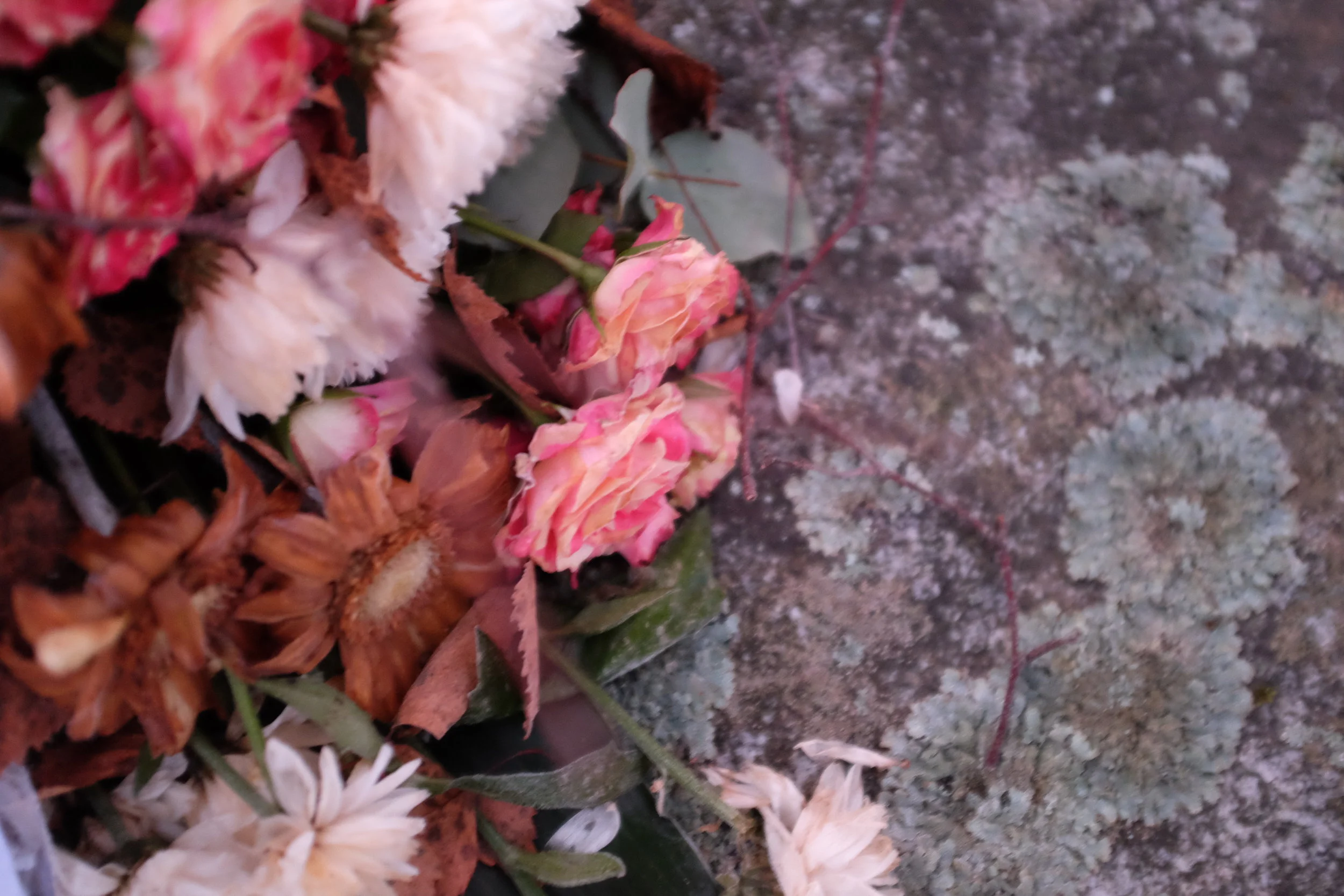 HOLIDAYS: new years eve dinner