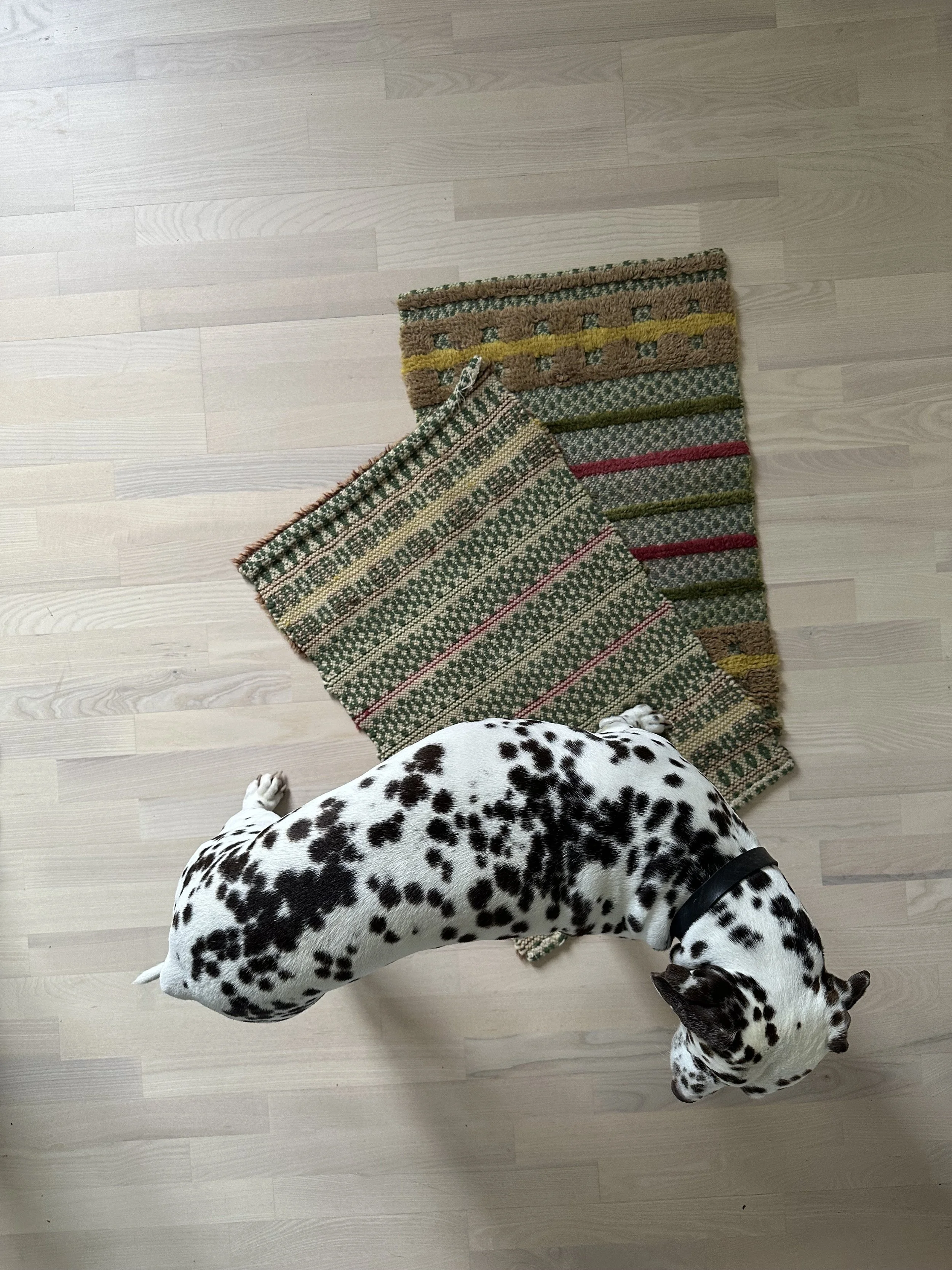IMG_0244.jpeg
