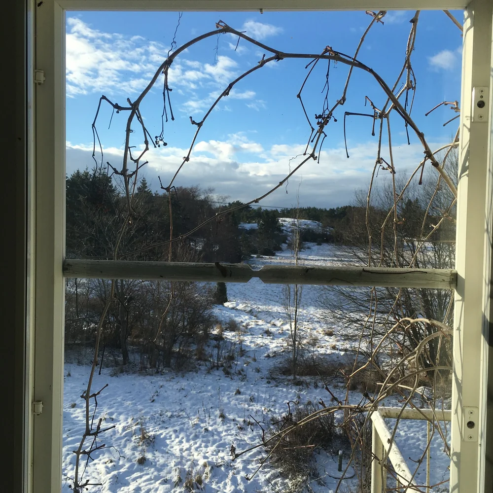 IMG_7068.jpeg