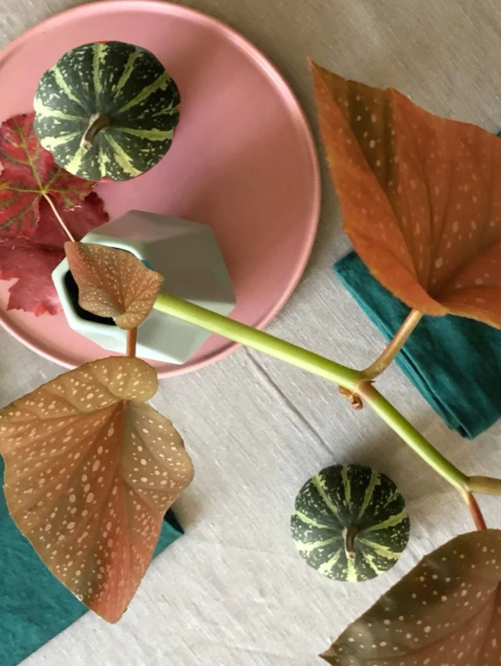 V&auml;lkommen till en mysig h&ouml;sthelg i sk&auml;rg&aring;rdens vackra f&auml;rgskala. Tillsammans med Viktor Eriksson bjuder vi in till en fyrar&auml;tters middag l&ouml;rdagen den 25 oktober &ndash; en kv&auml;ll fylld med smaker, st&auml;mning