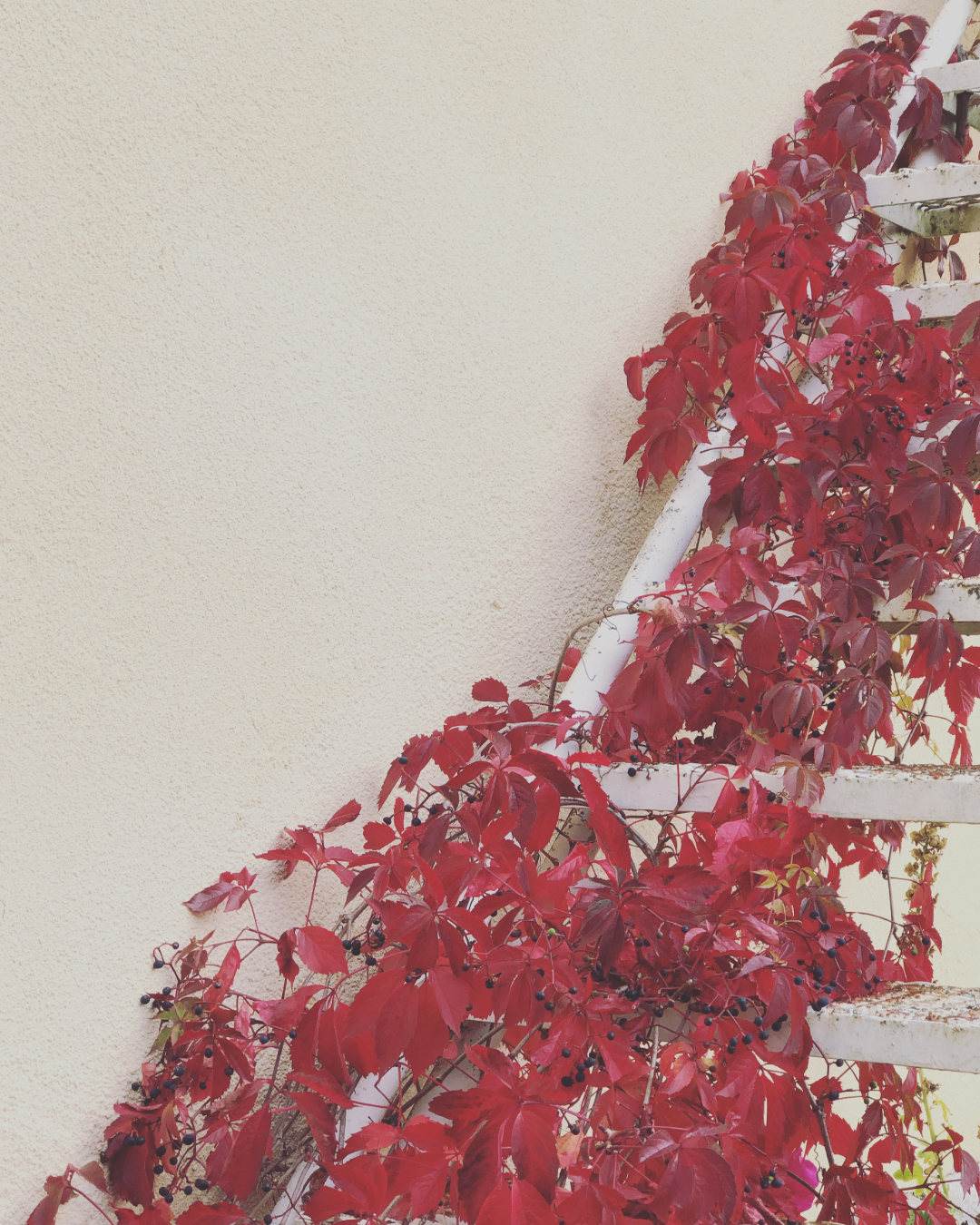 fall dinner post IG-3.png