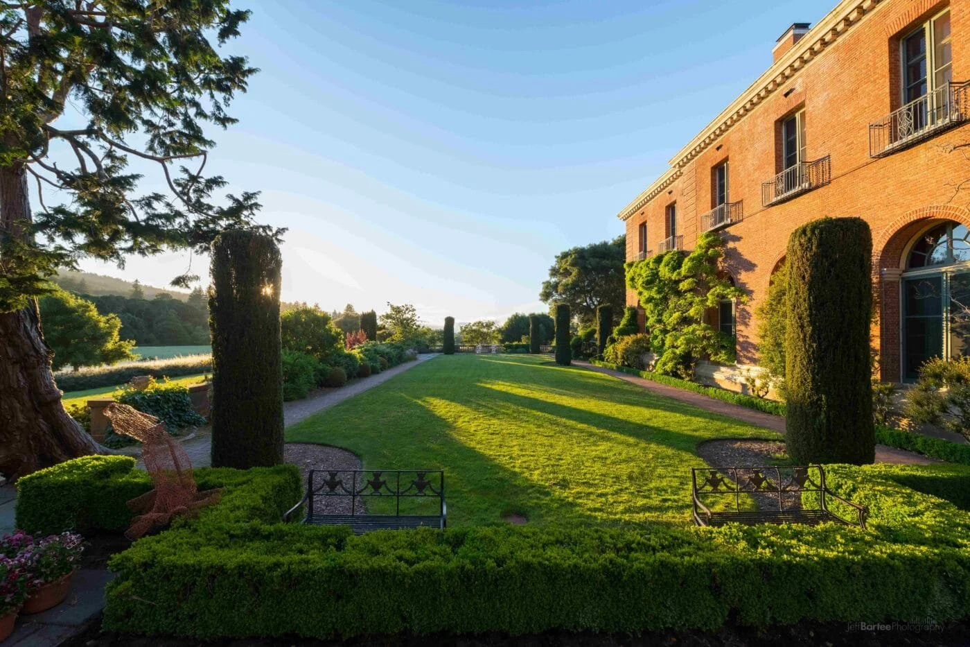 Filoli-5719-1400x933.jpeg