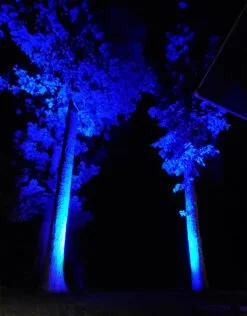 tree-uplighting-247x316.jpeg