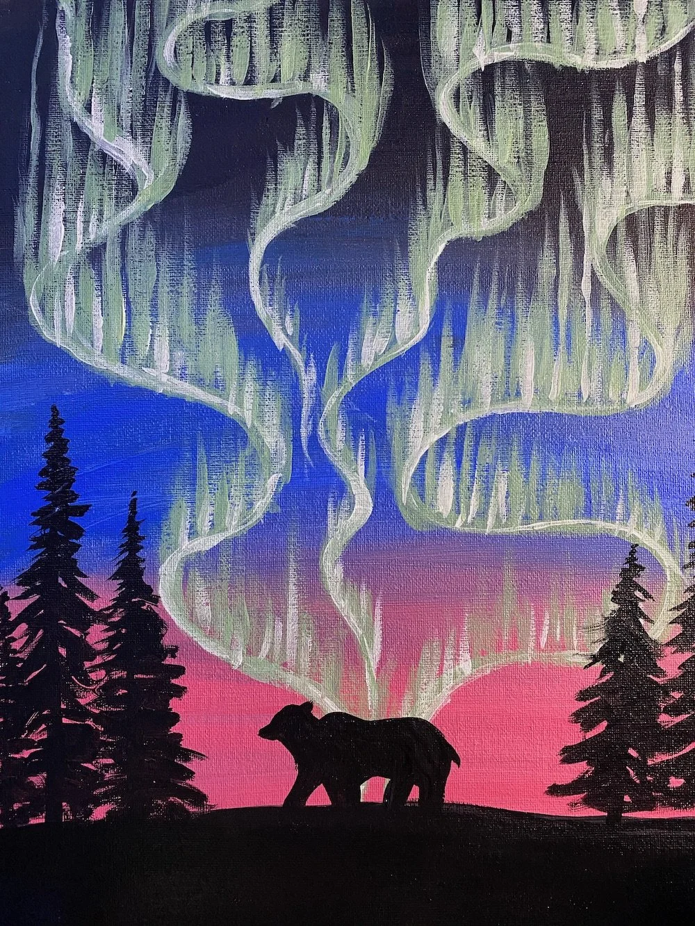 Northern Lights.jpeg