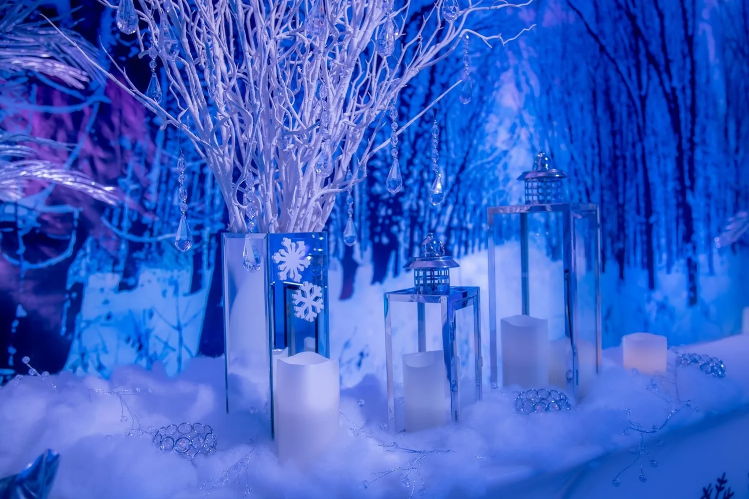 Winter-Wonderland-Theme-39-scaled.jpeg