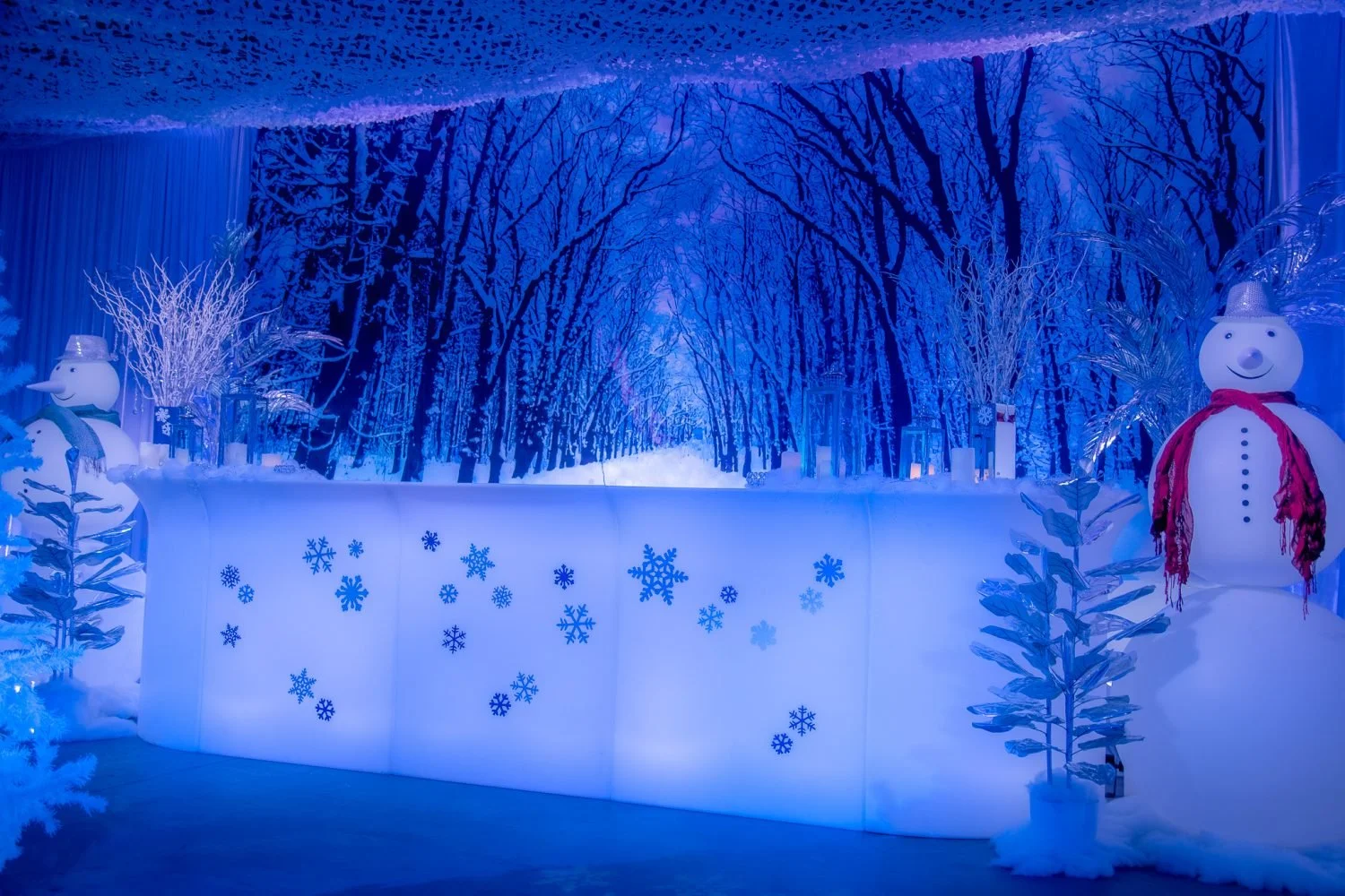 Winter-Wonderland-Theme-37-scaled.jpeg