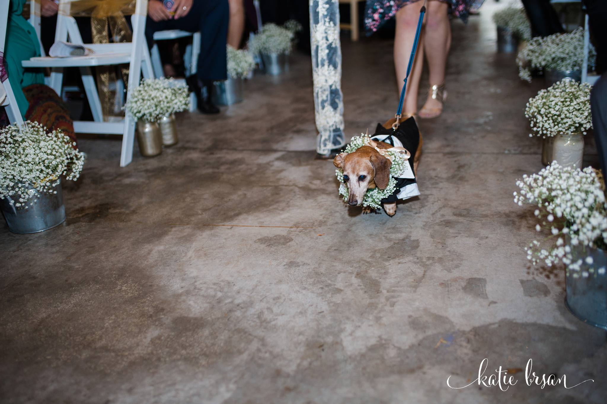 DownersGrove_BackyardWedding_GilbertsPark_1003.jpg
