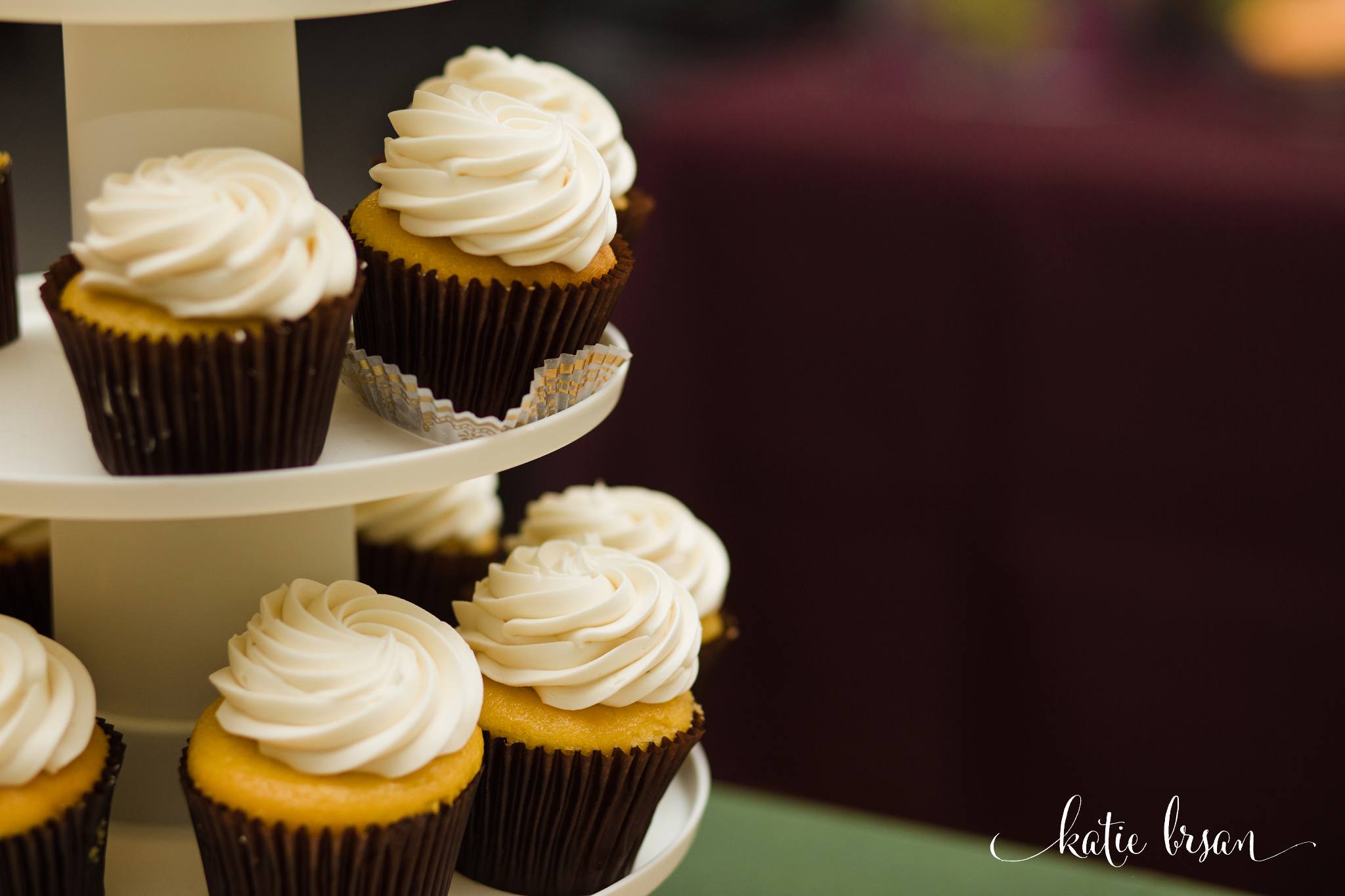 DownersGrove_BackyardWedding_GilbertsPark_1043.jpg