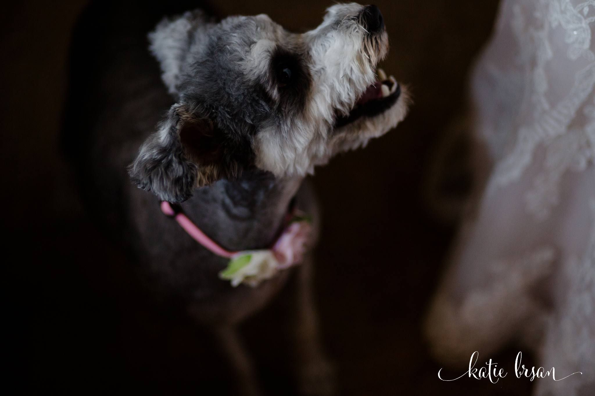 Mokena_Lemont_Wedding_Ruffled_Feathers_Wedding_1329.jpg