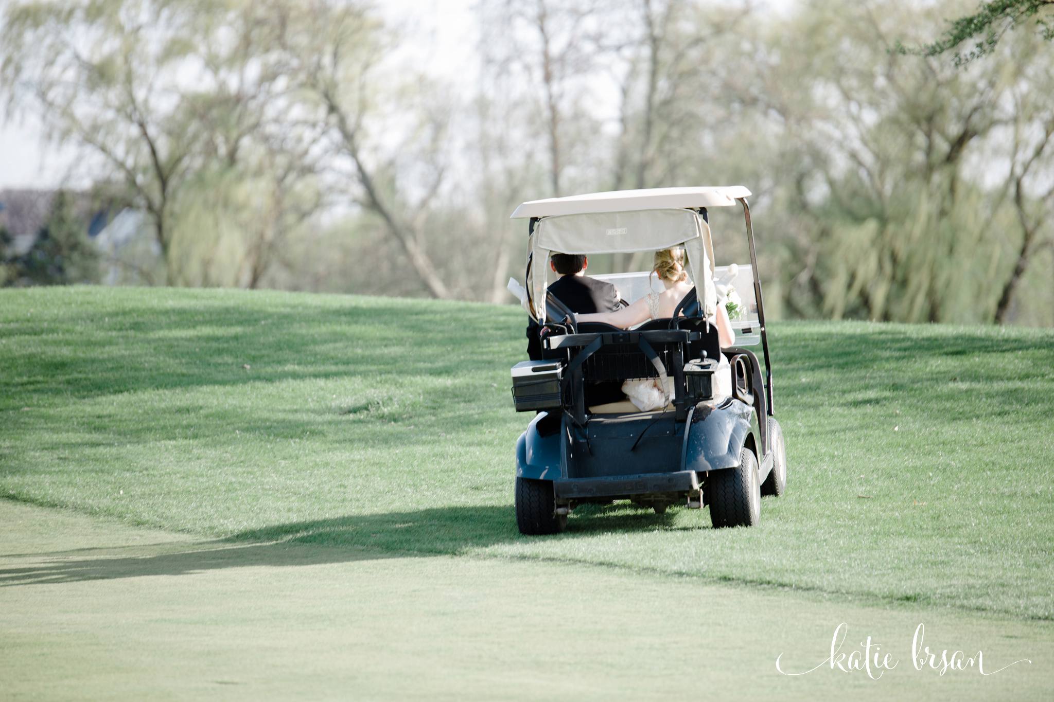 Mokena_Lemont_Wedding_Ruffled_Feathers_Wedding_1384.jpg