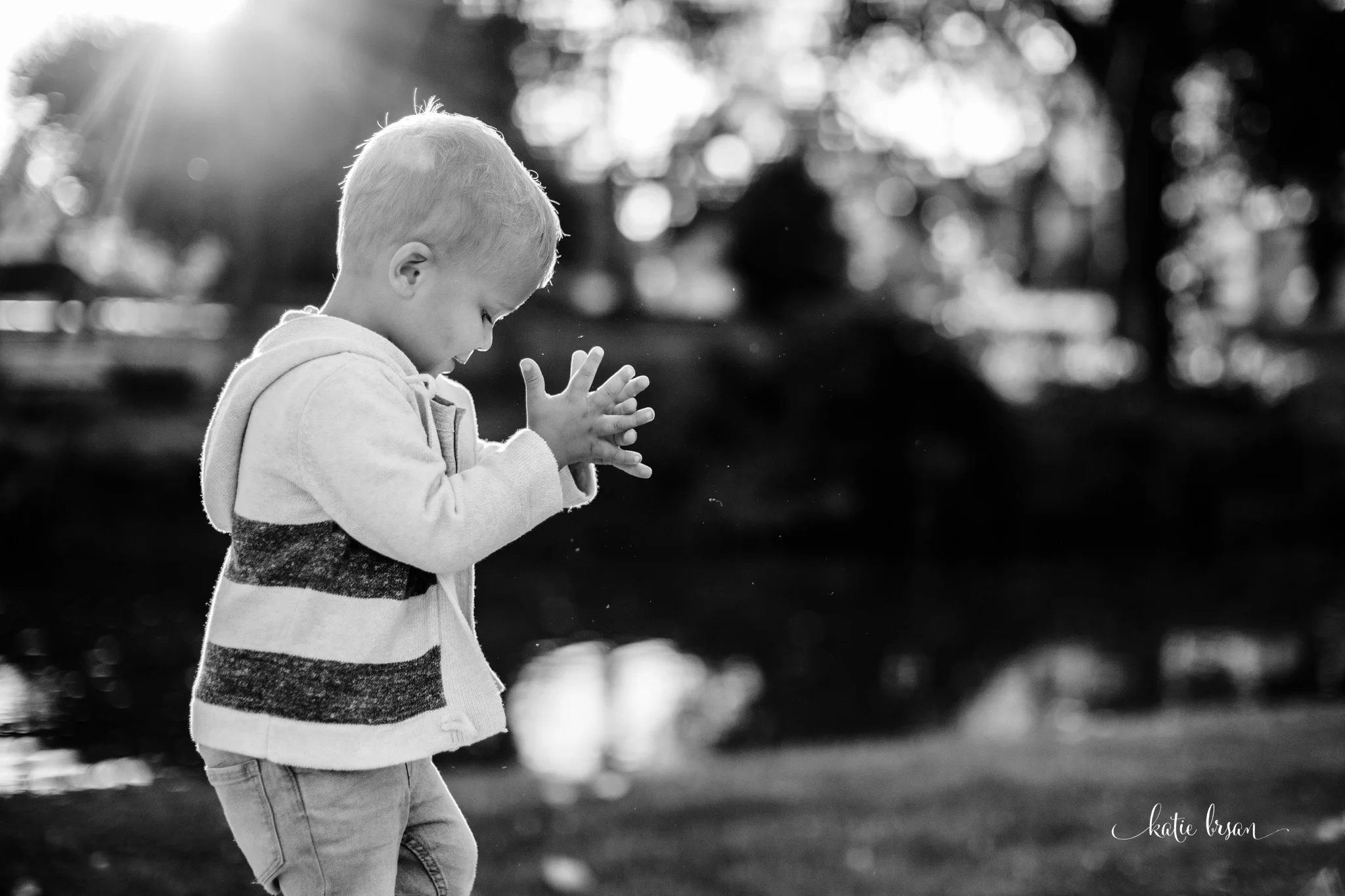 Lockport-familyphotographer_0478.jpg