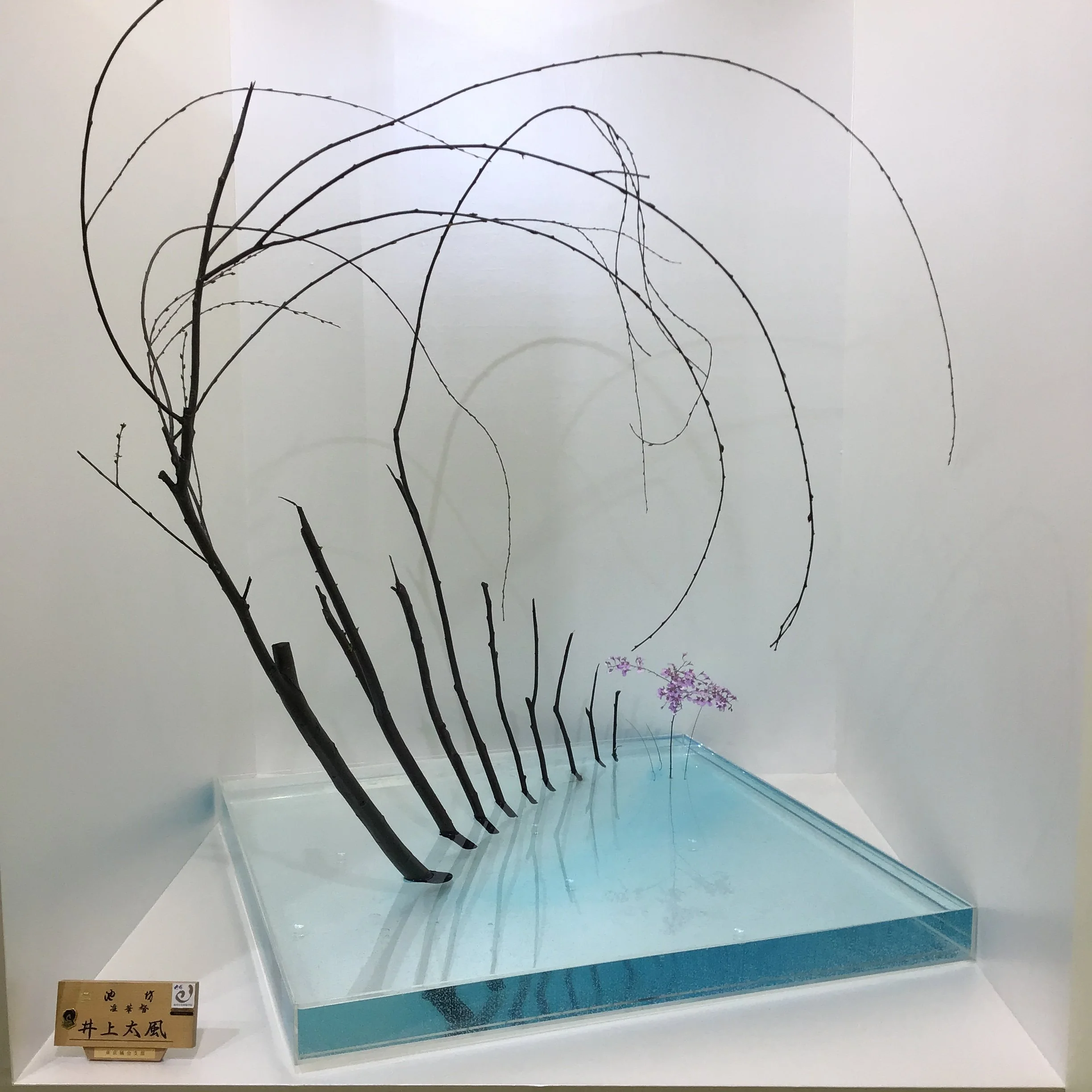 六日京都 | Day 6 Kyoto「Ikebana」