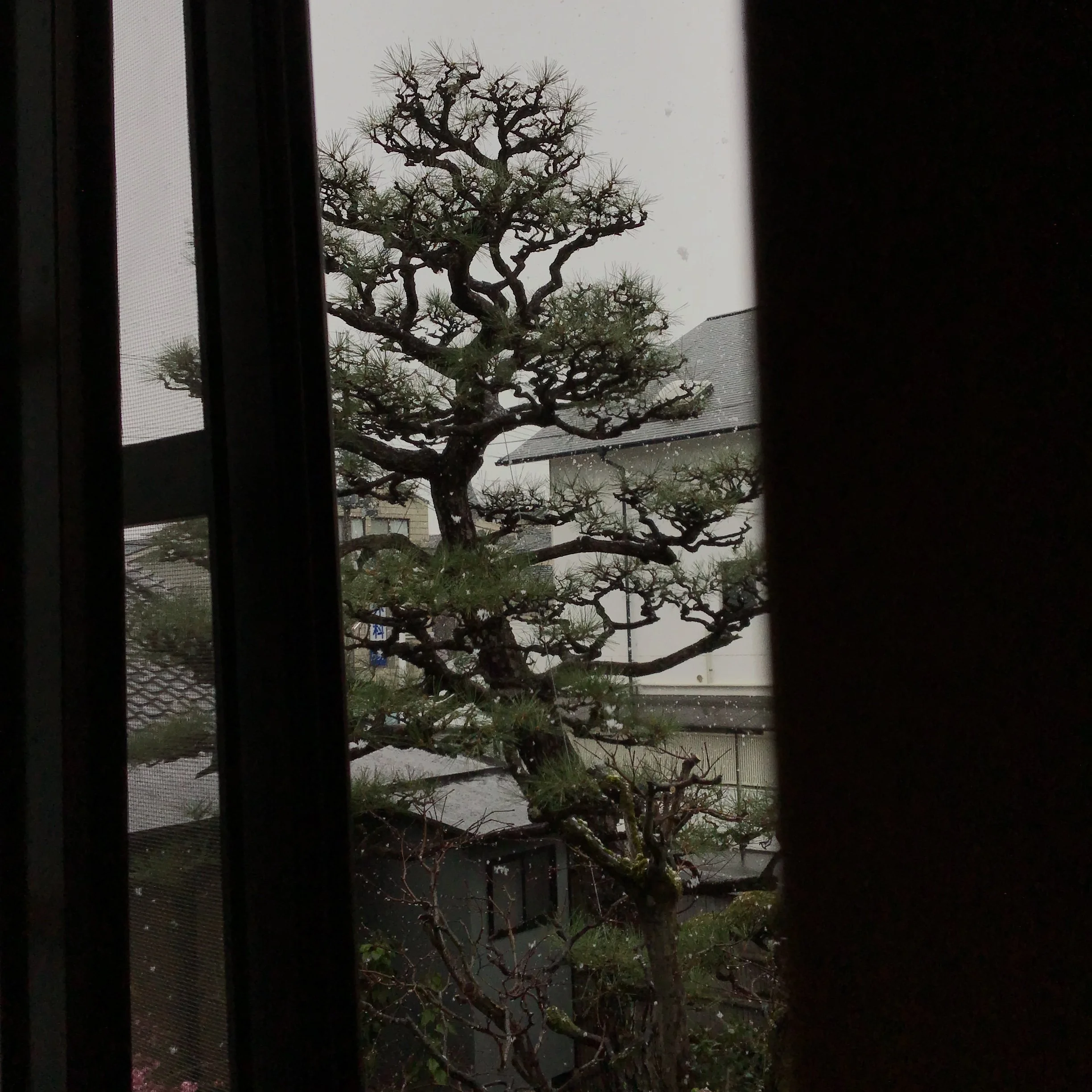 八日目京都『SNOW!』Day 8