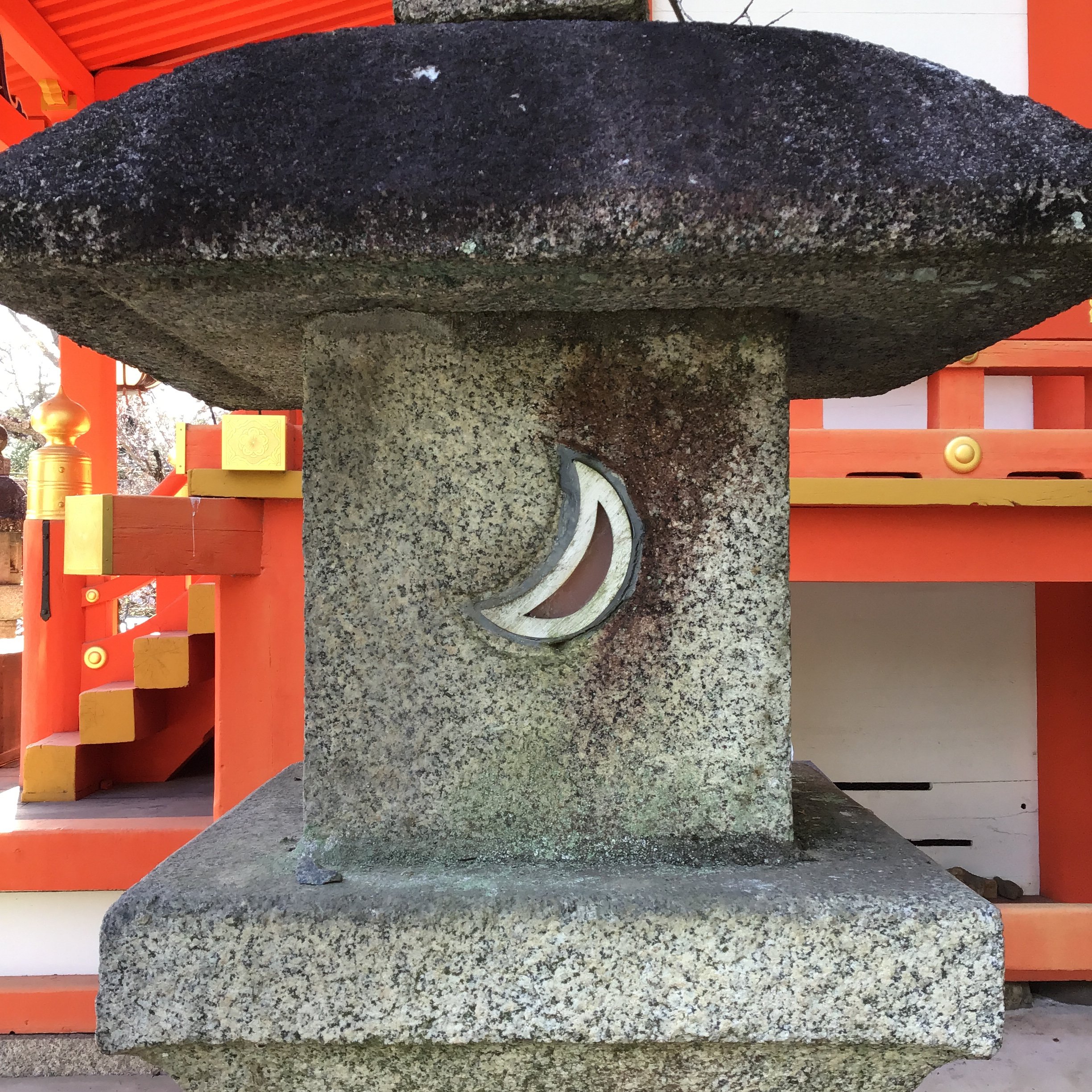 19日目 Kyoto「Wow」