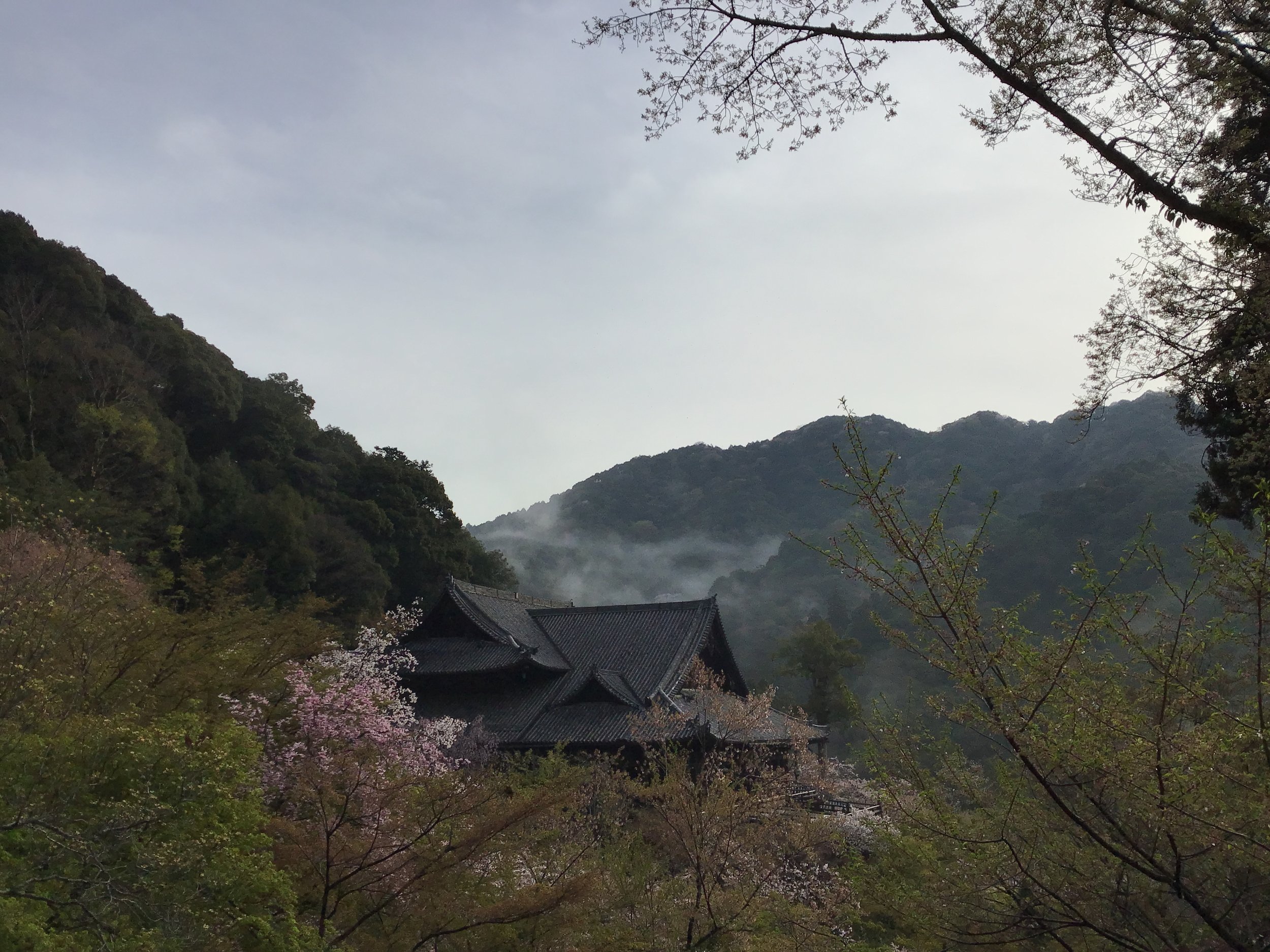 4月11日「Hasedera Temple - Sunrise」