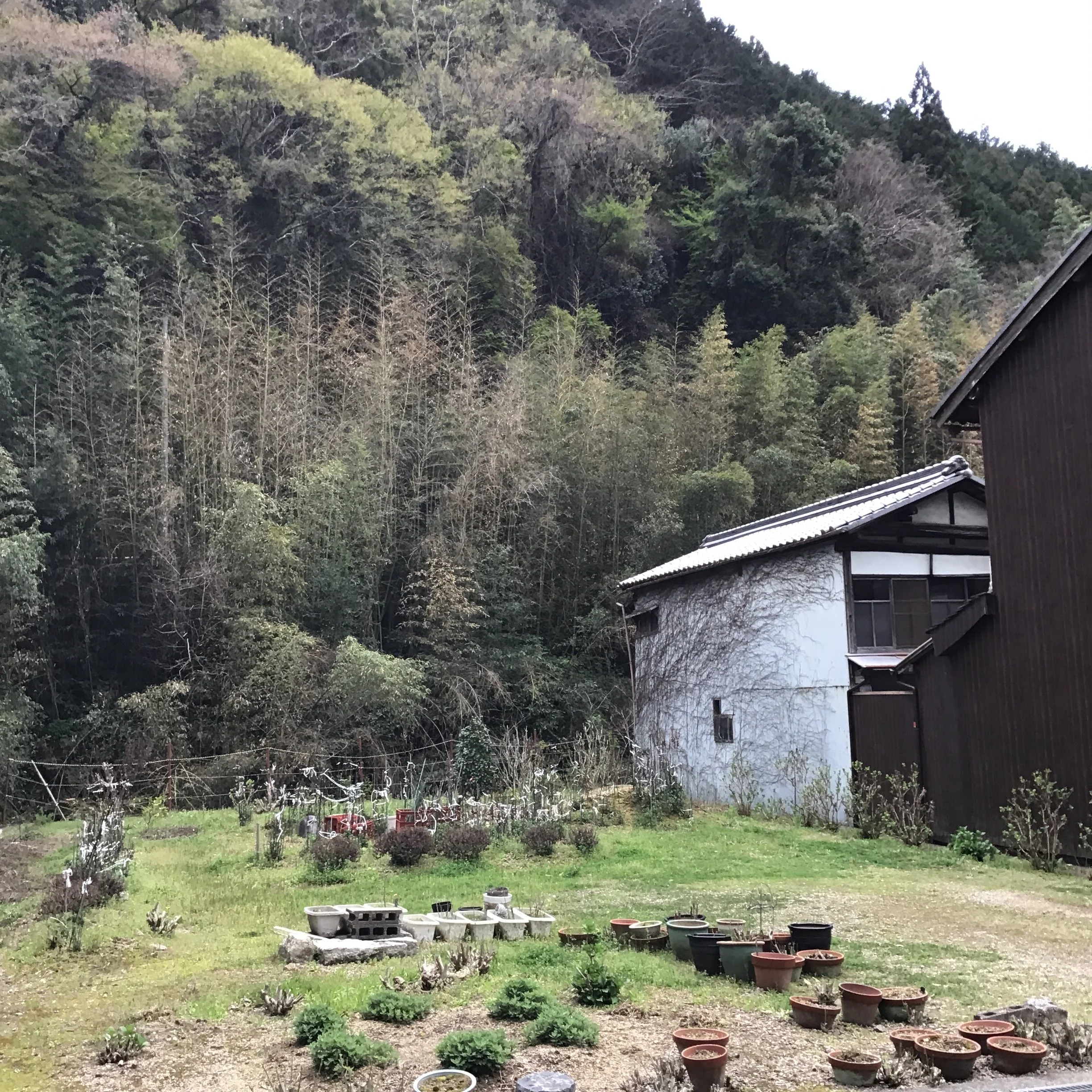 4月11日「Hasedera」