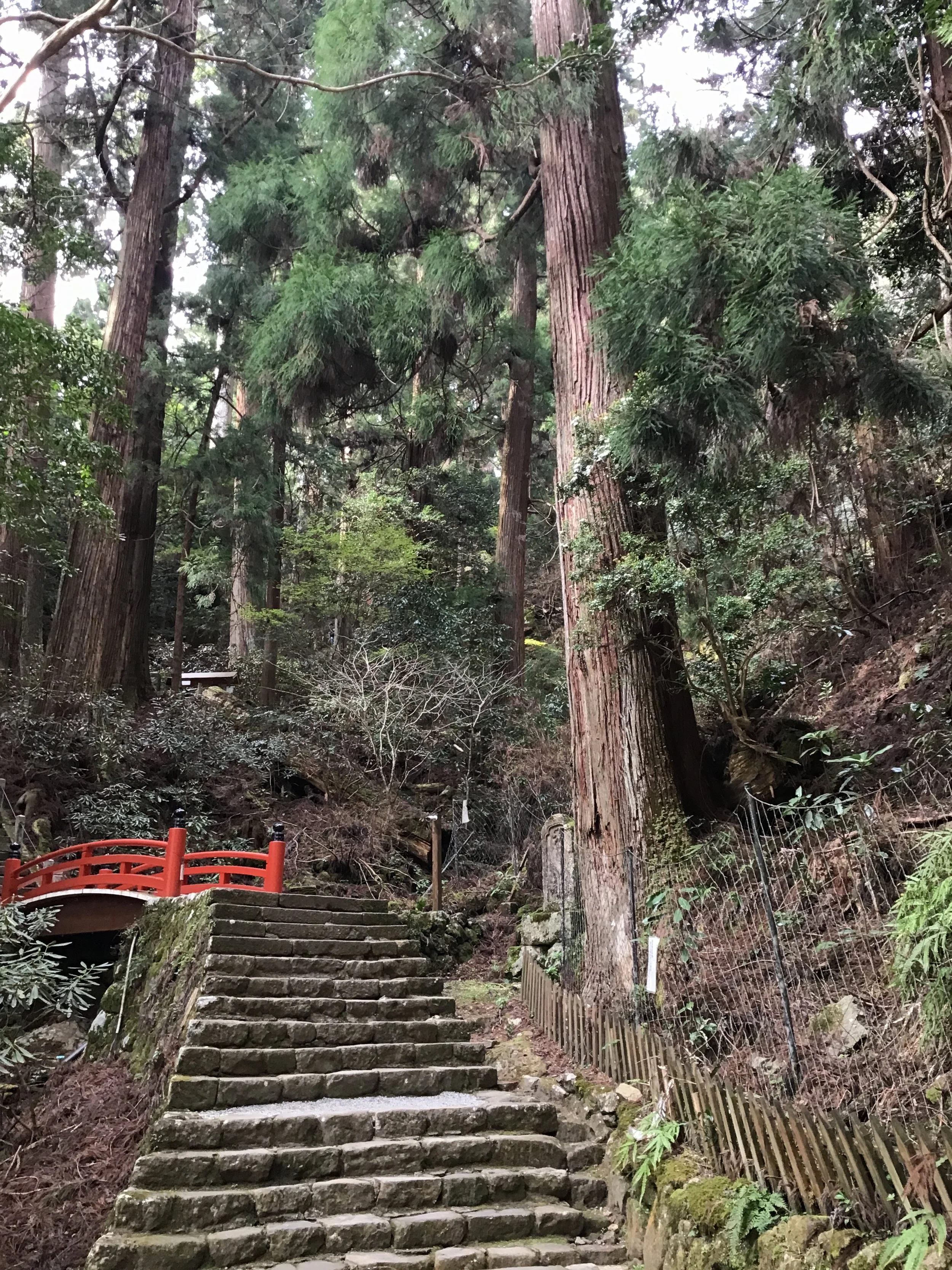 IMG_3370_muroji_temple_wow.JPG