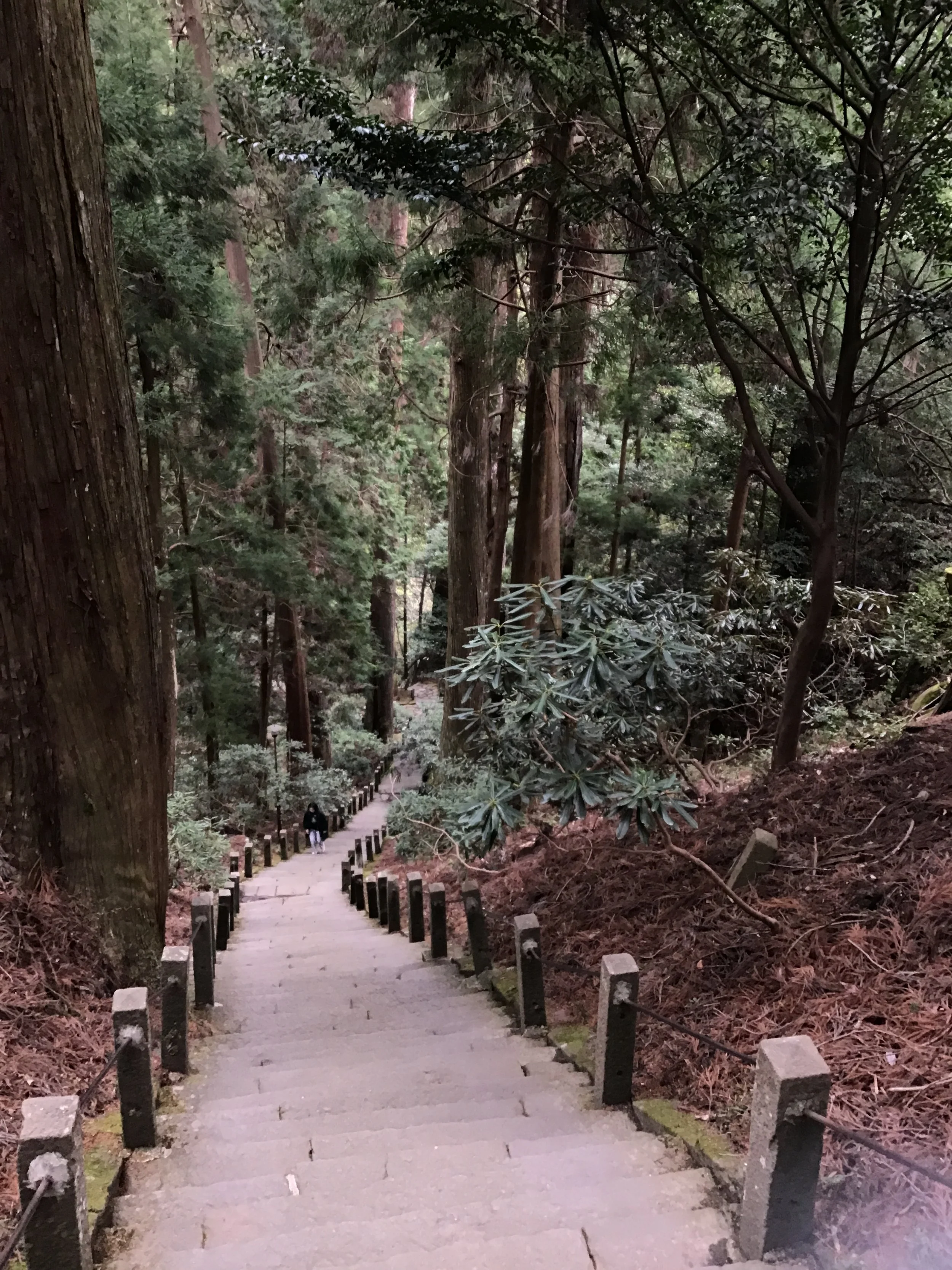 IMG_3416_muroji_temple_wow.JPG