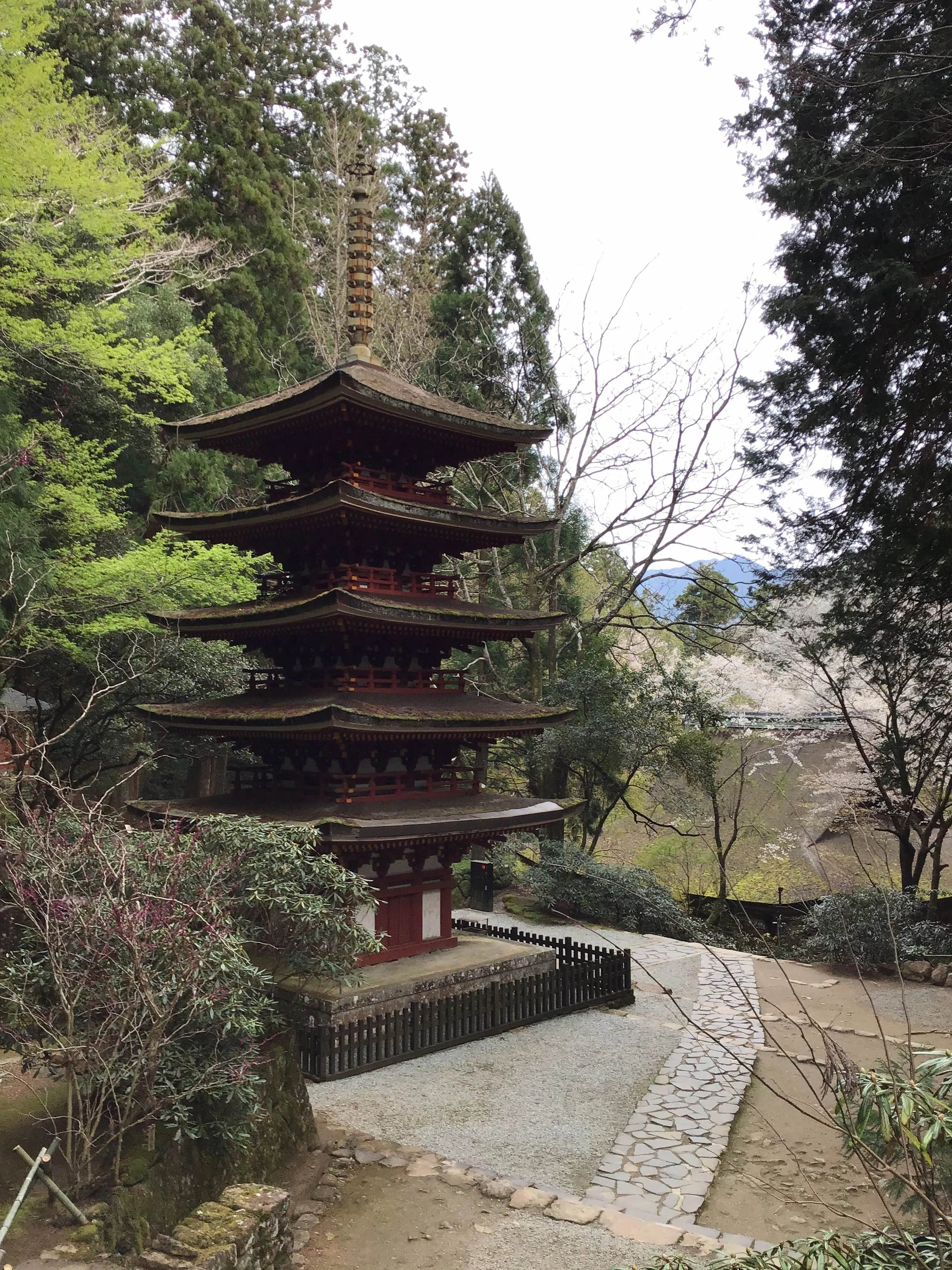 IMG_3423_muroji_temple_wow.JPG