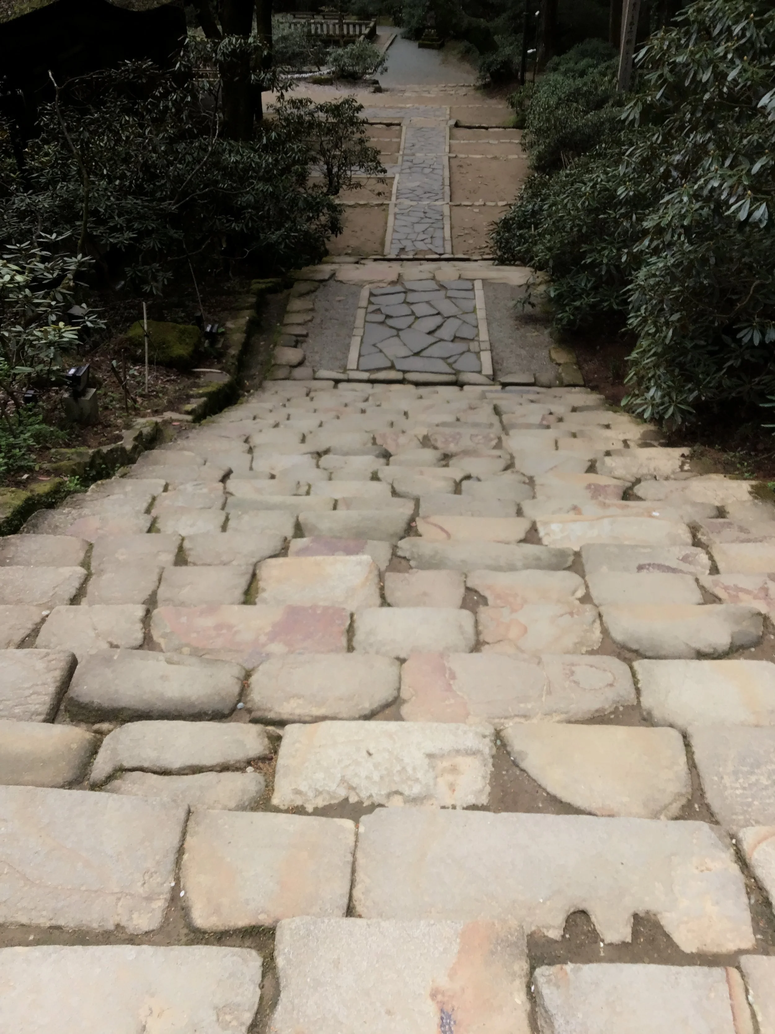 IMG_3431_muroji_temple_wow.JPG