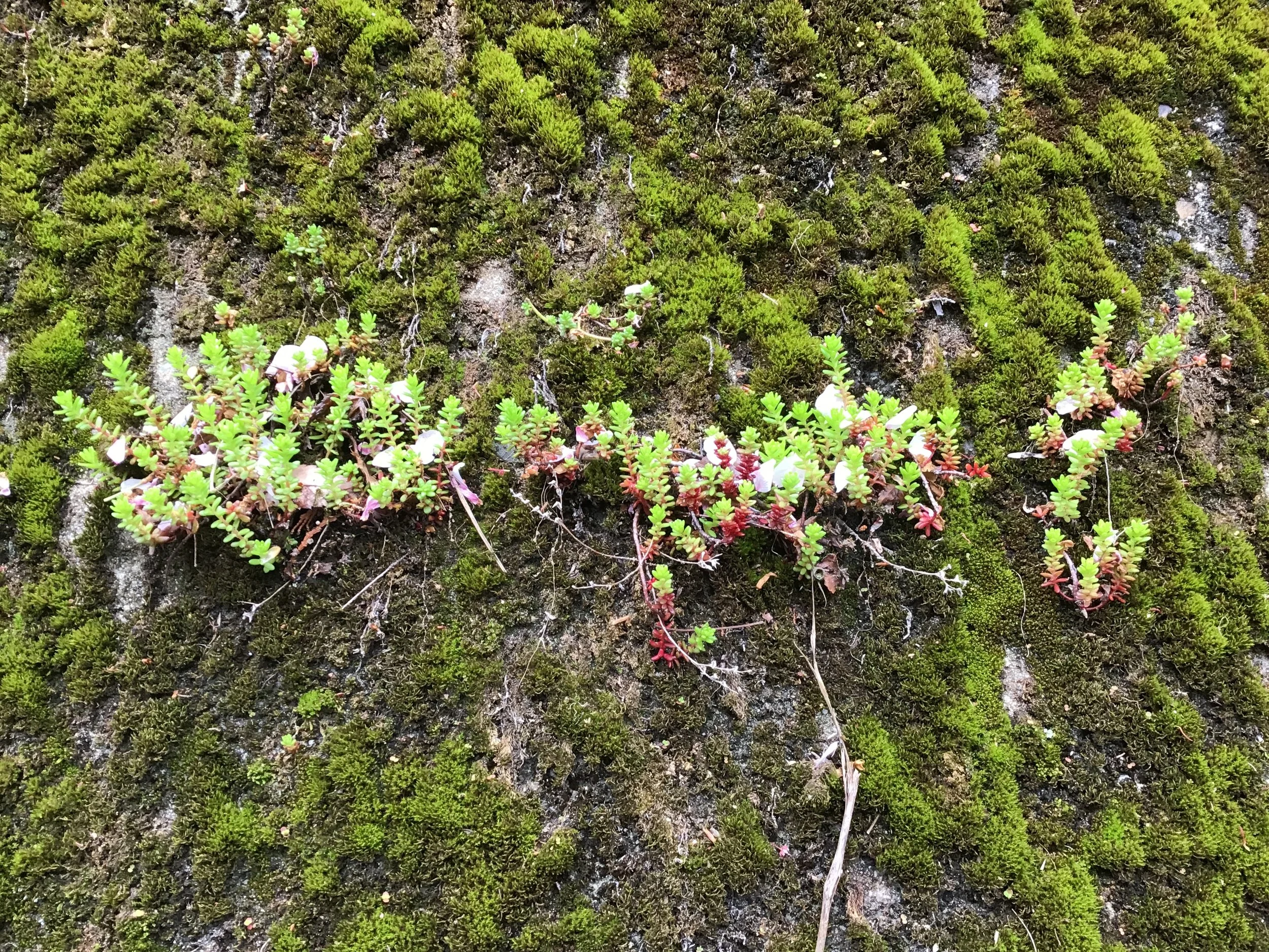 4月13日「Hase Rainy Day!」