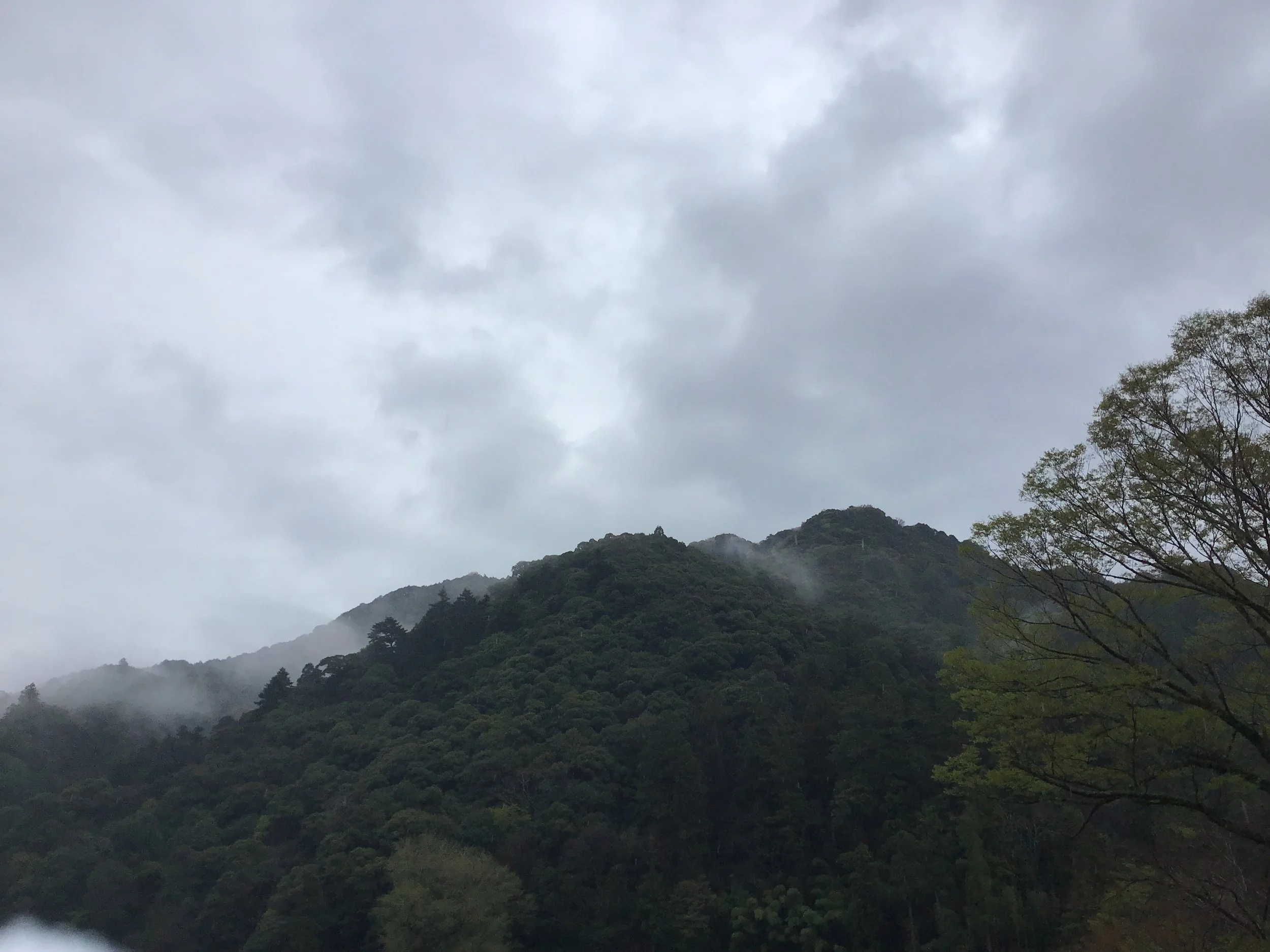 4月13日「Temple Morning #3」