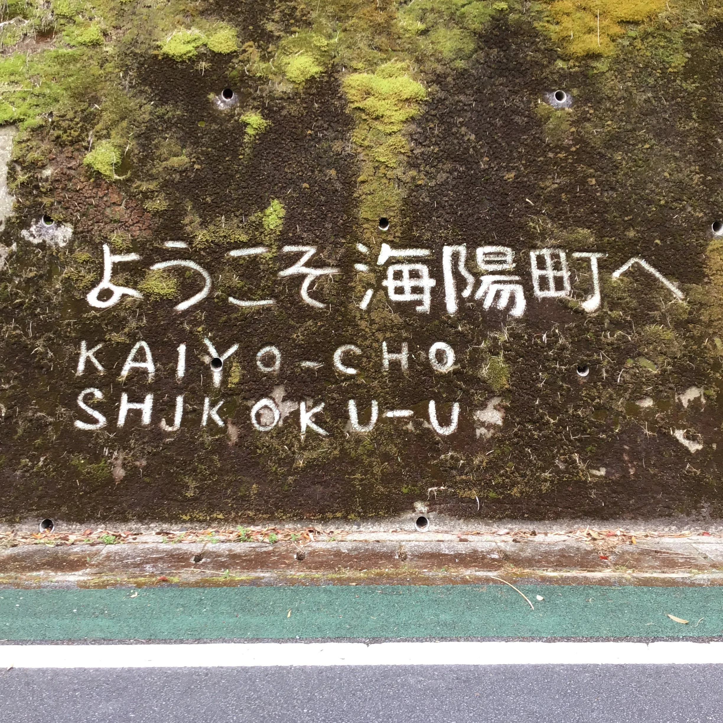 IMG_3933_ozuna_kaiyo.JPG