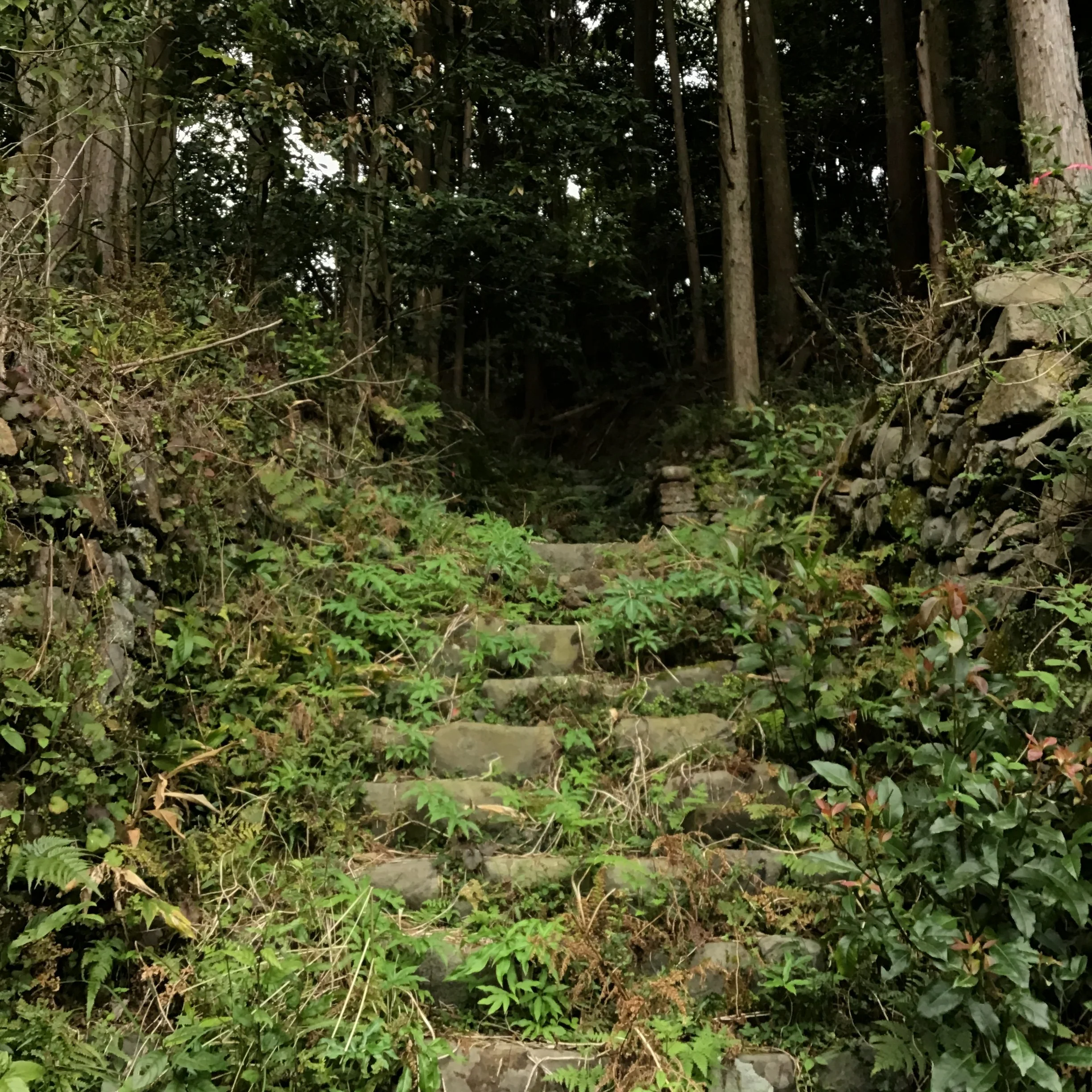 IMG_3952_ozuna_kaiyo.JPG