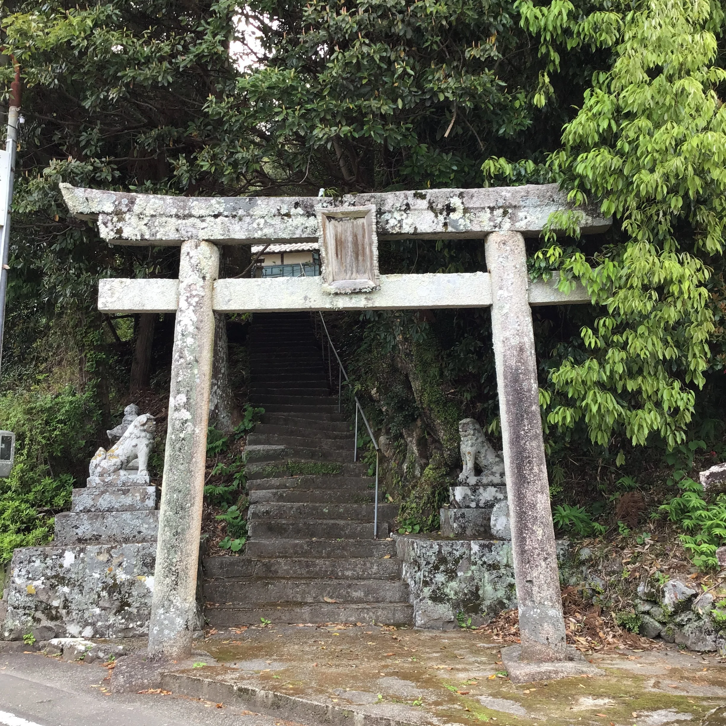 IMG_4010_ozuna_kaiyo.JPG