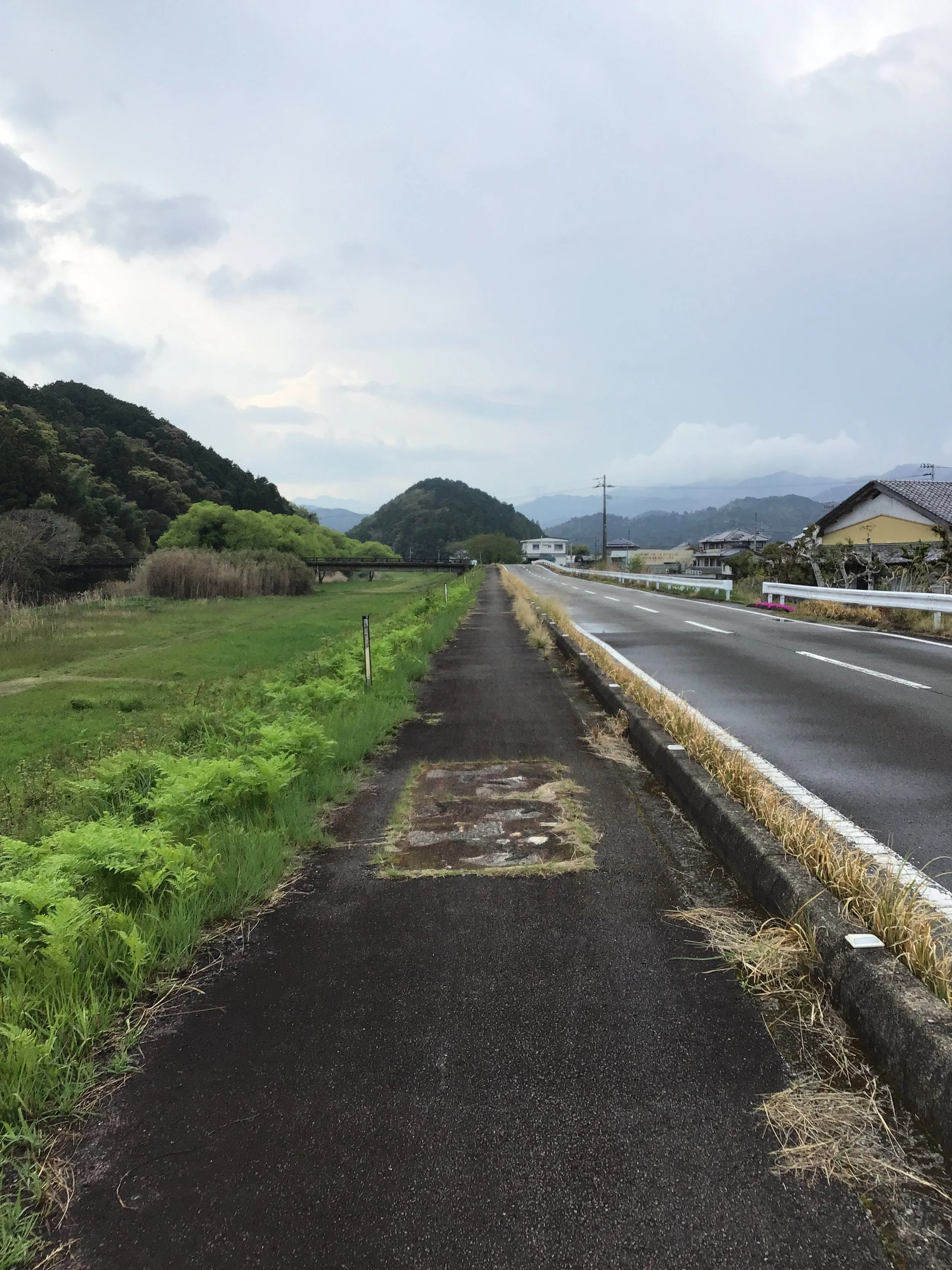 IMG_4015_ozuna_kaiyo.JPG