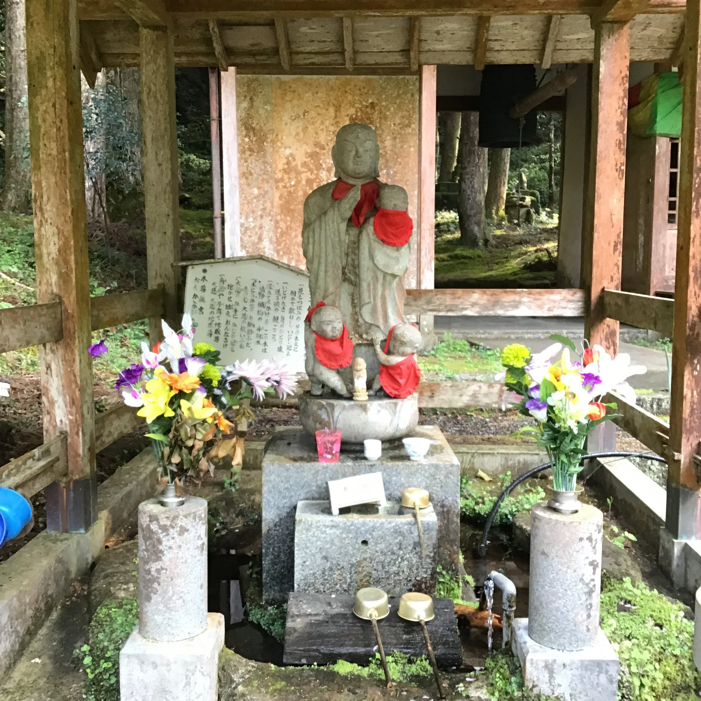 IMG_4020_ozuna_kaiyo.JPG