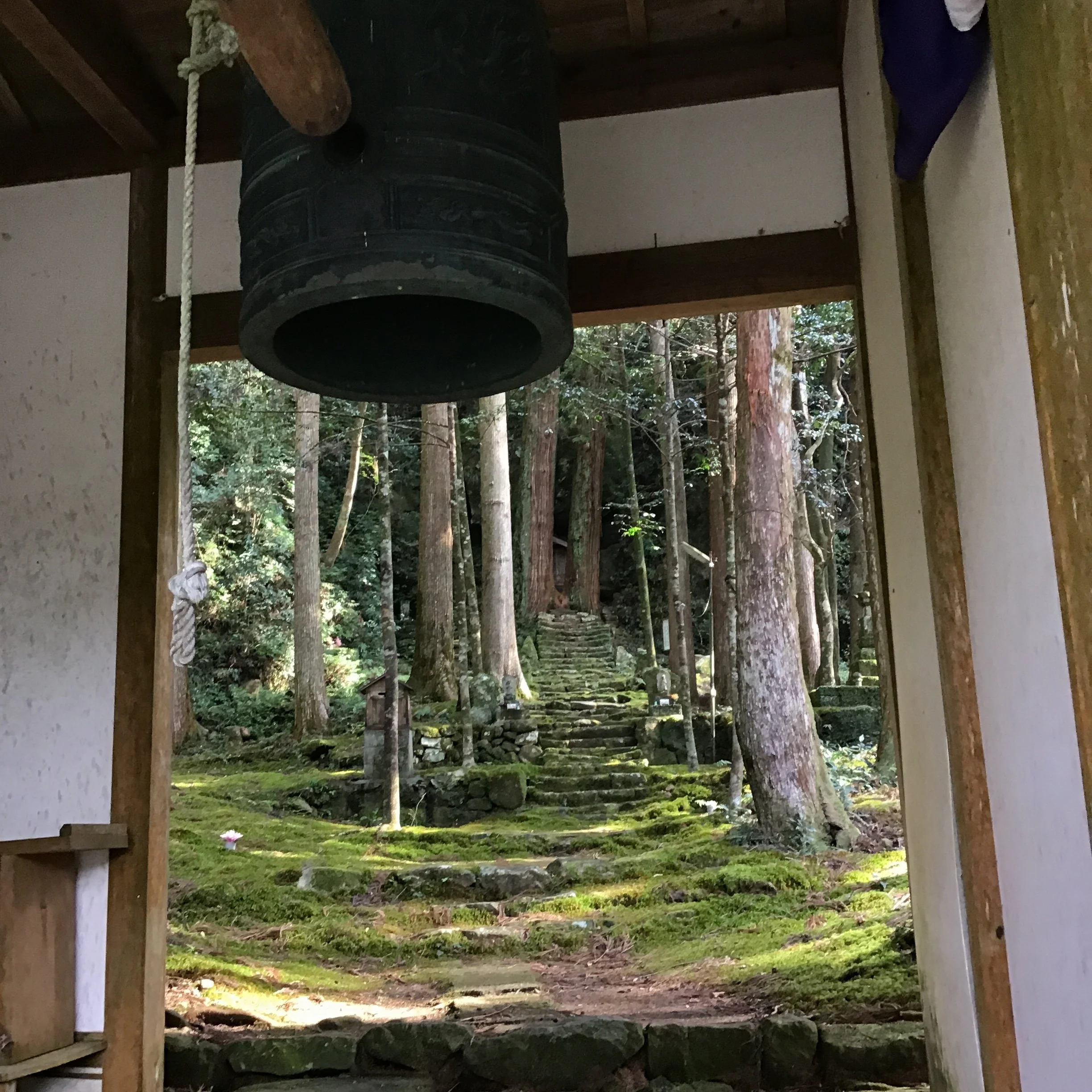 IMG_4022_ozuna_kaiyo.JPG