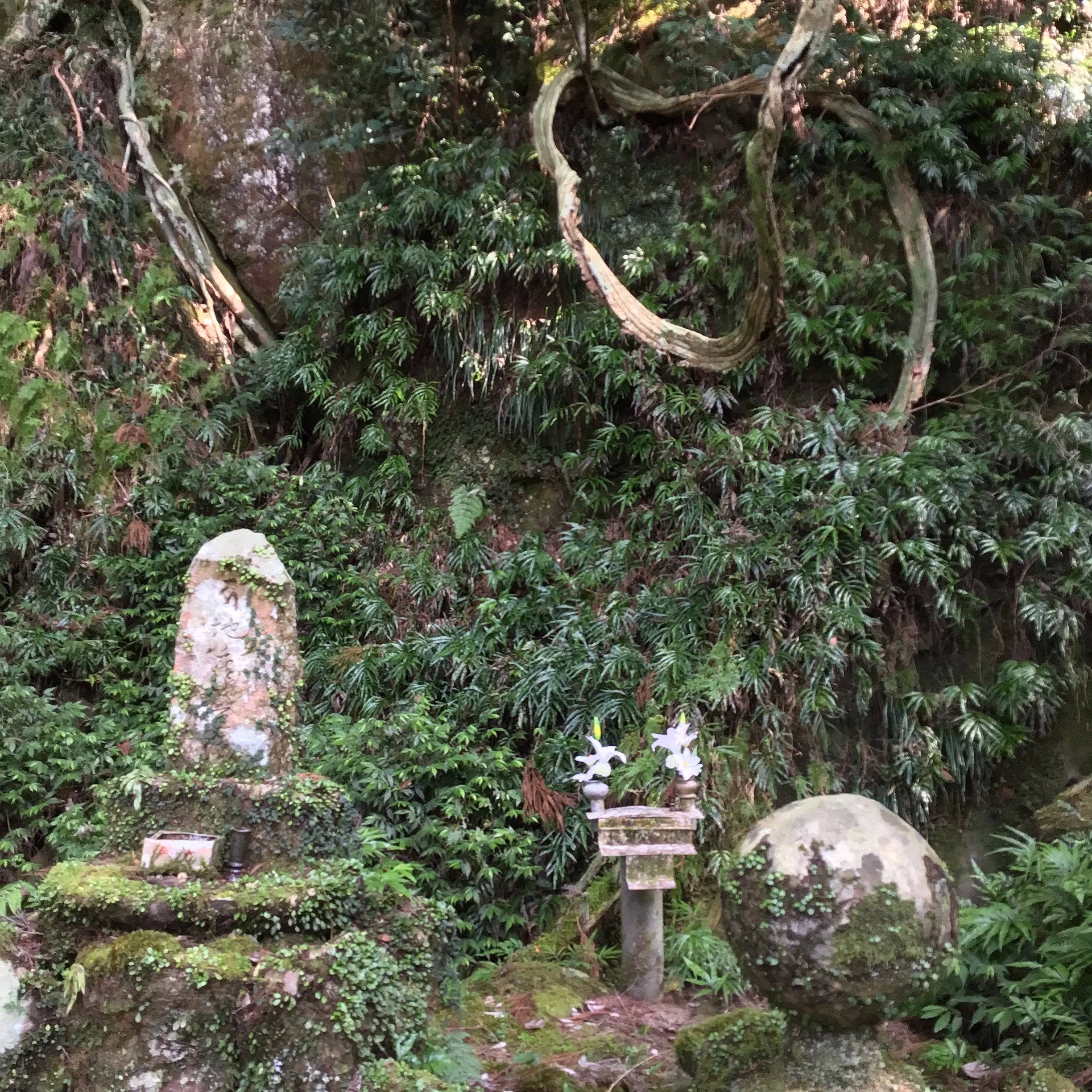 IMG_4026_ozuna_kaiyo.JPG