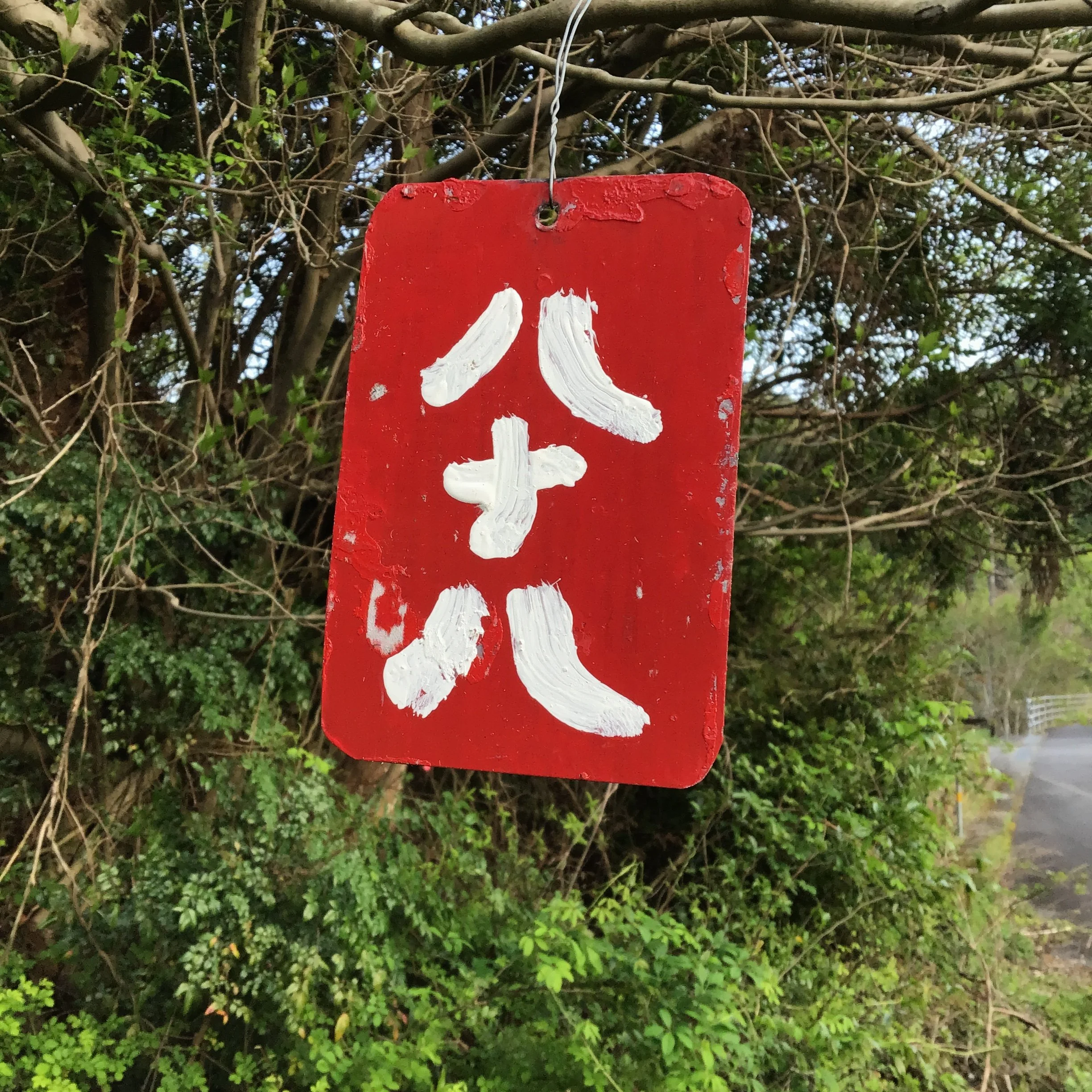 IMG_4065_ozuna_kaiyo.JPG