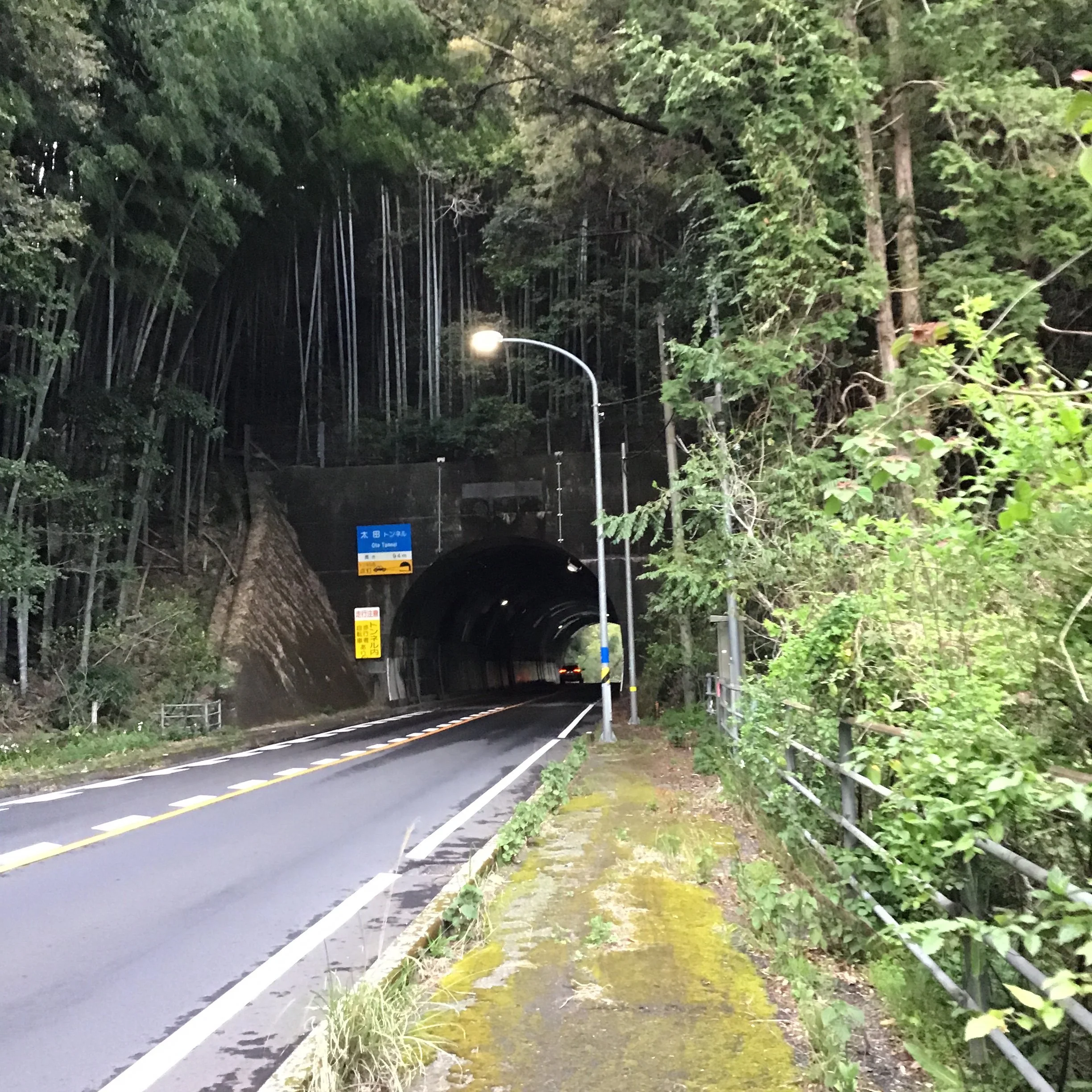 IMG_4066_ozuna_kaiyo.JPG