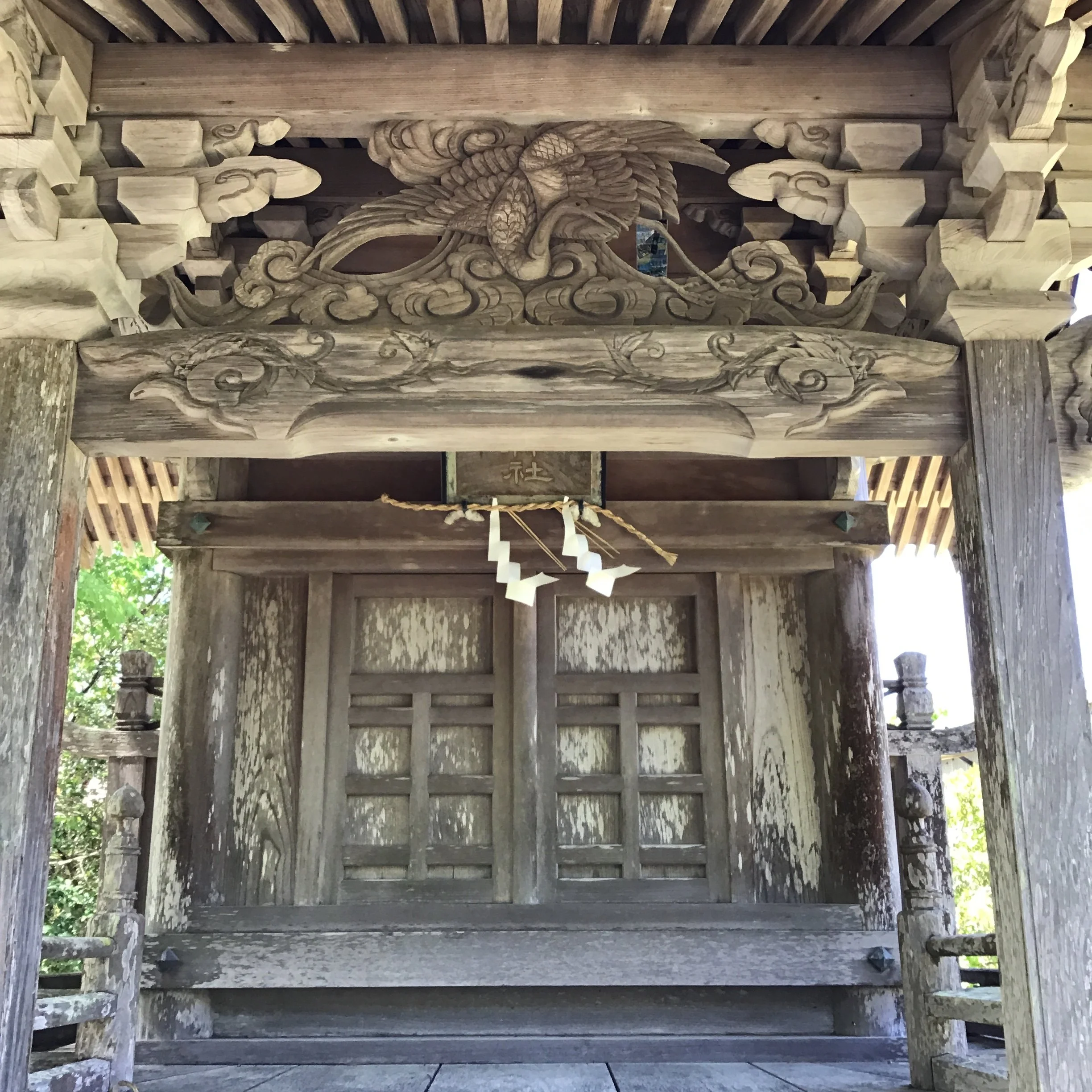 IMG_4147_shishikui.JPG